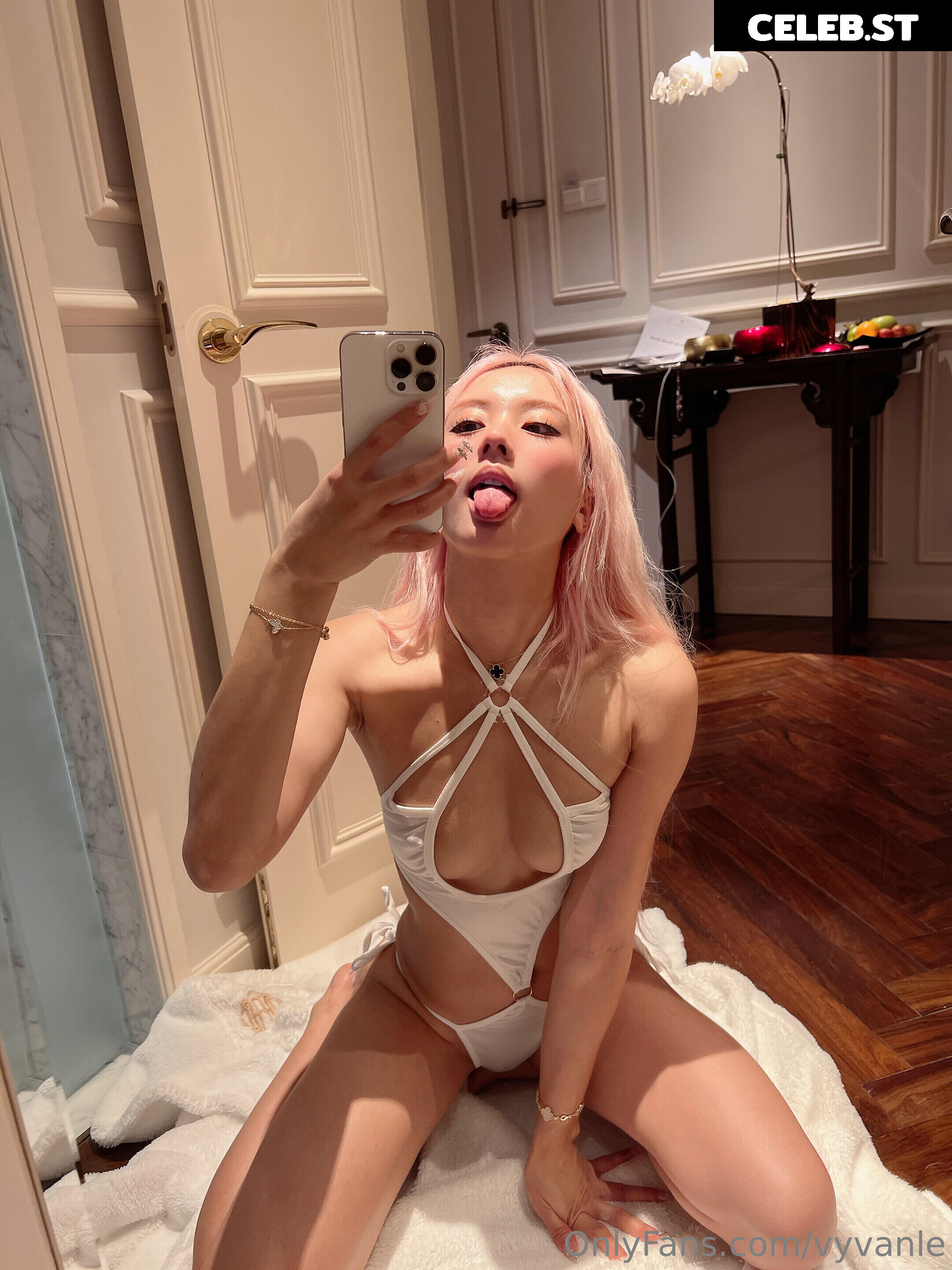 Vyvan Le Image 23875529