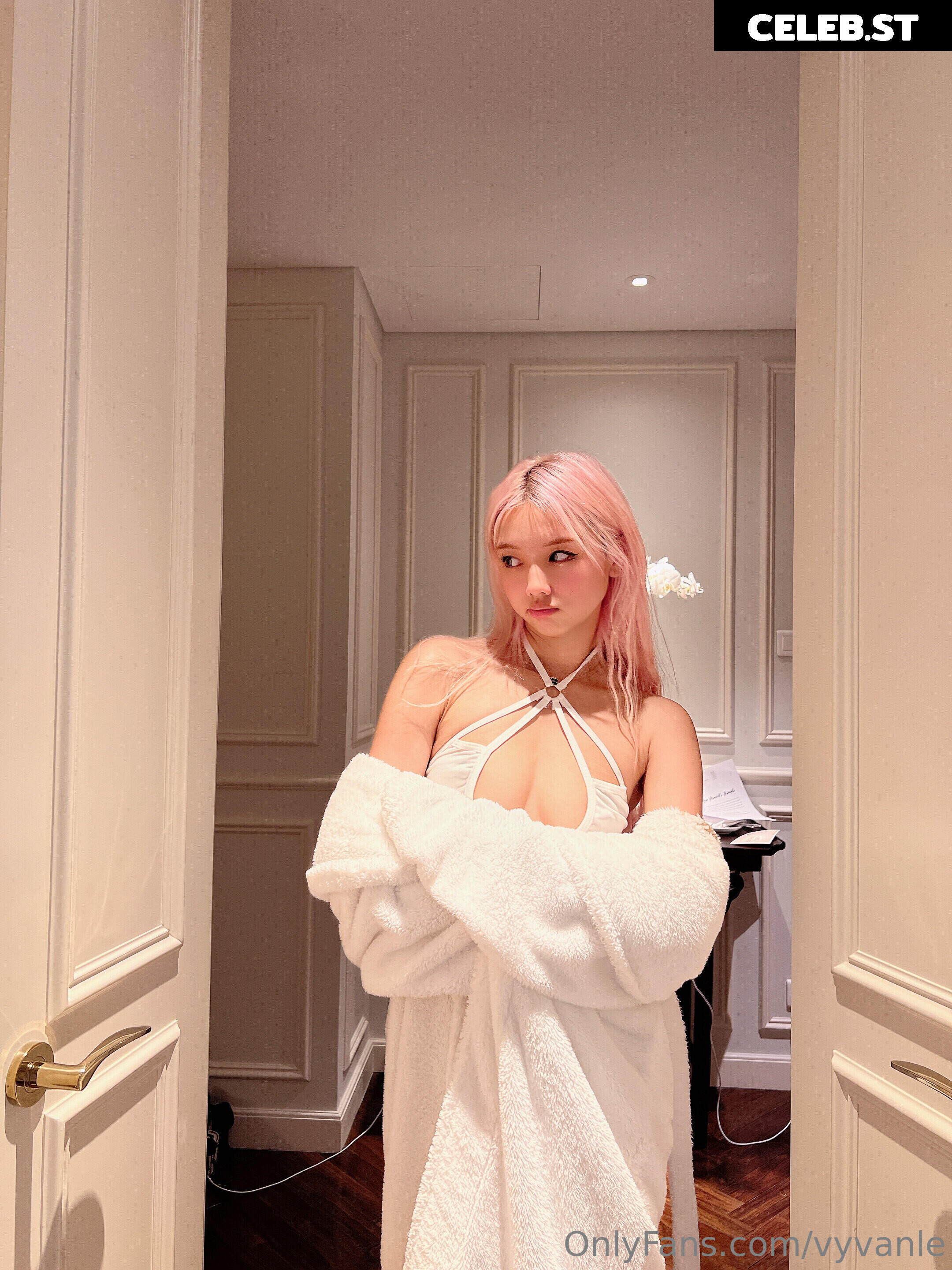 Vyvan Le Image 23875550