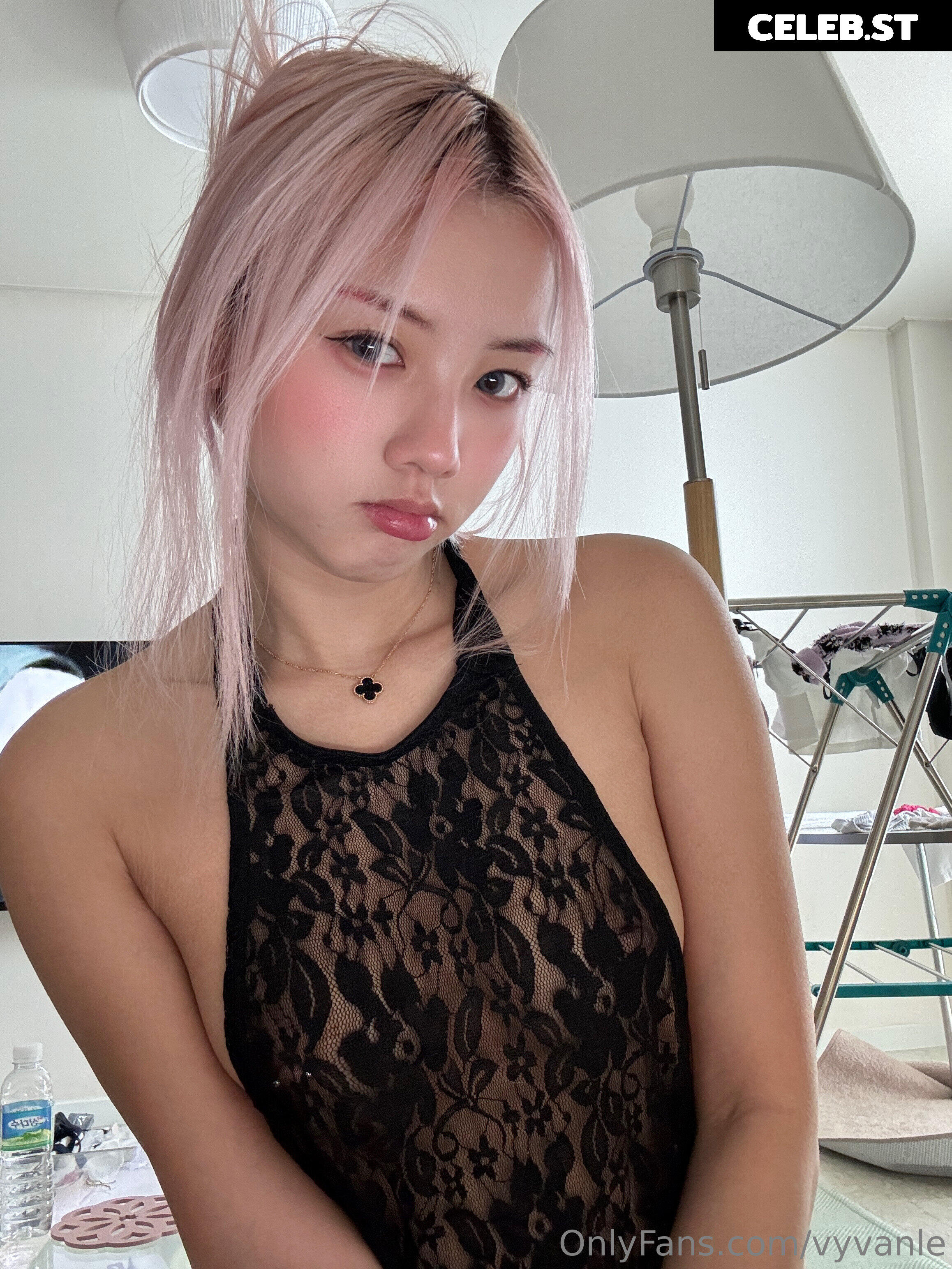 Vyvan Le Image 23875631