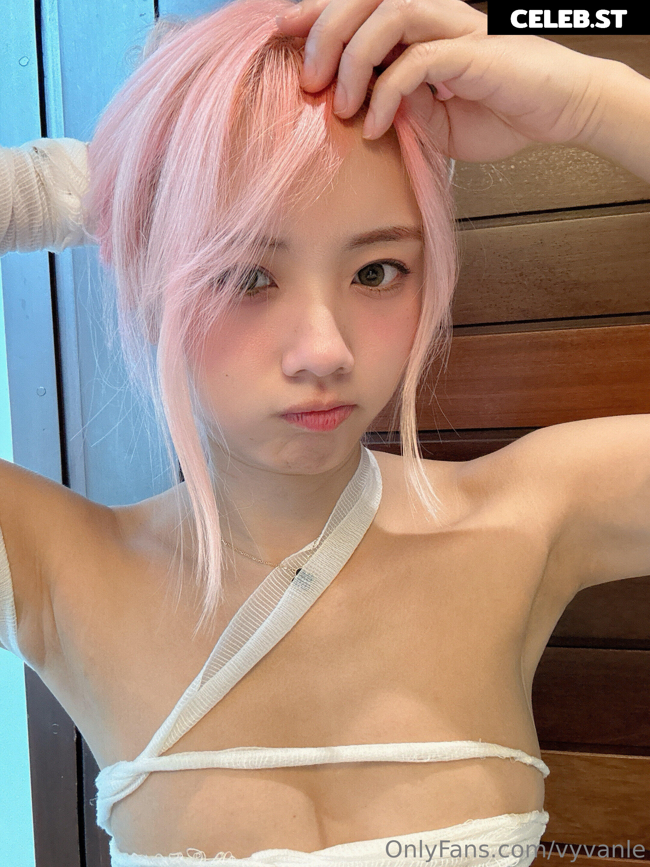 Vyvan Le Image 23875033