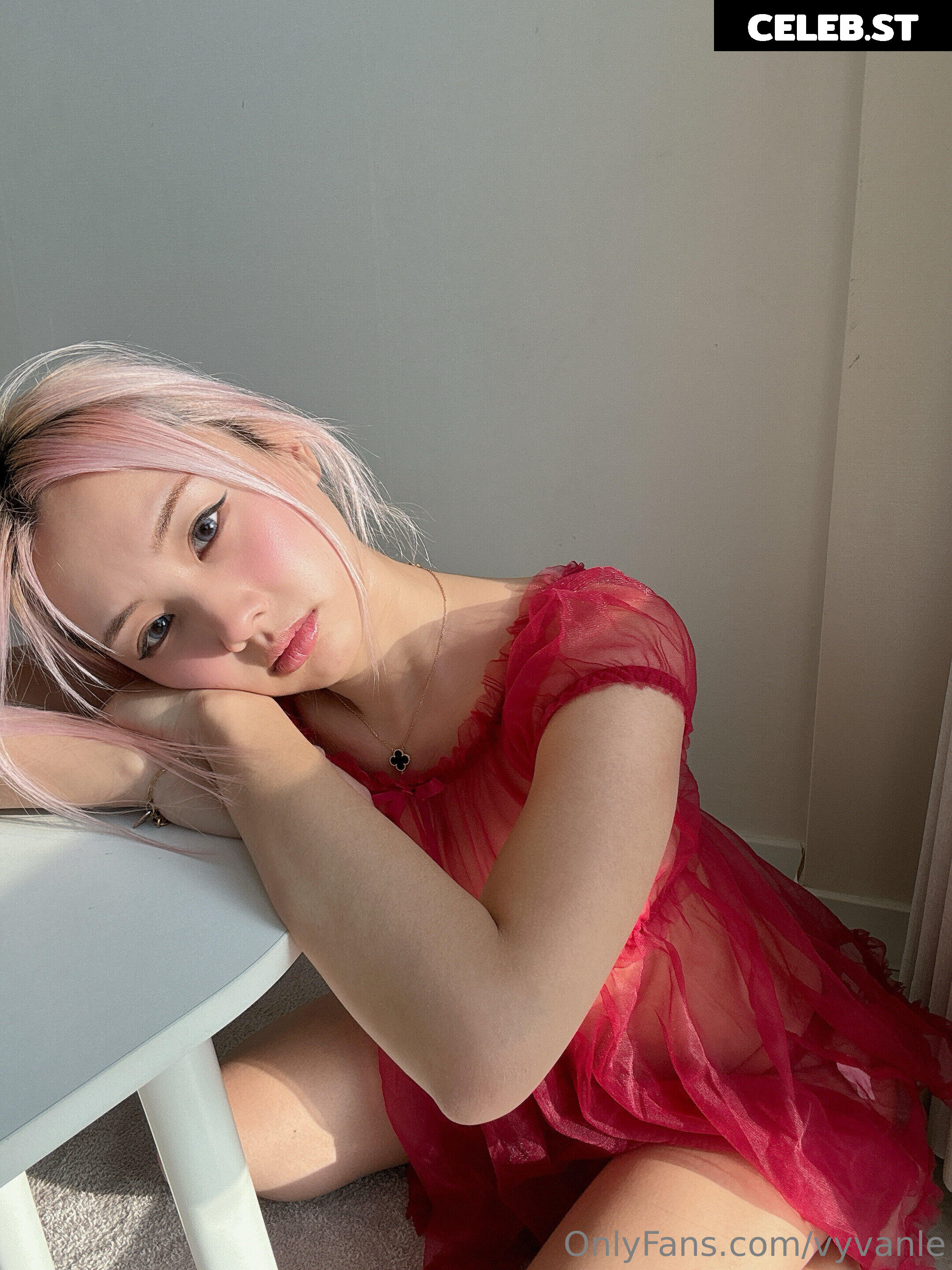 Vyvan Le Image 23875200