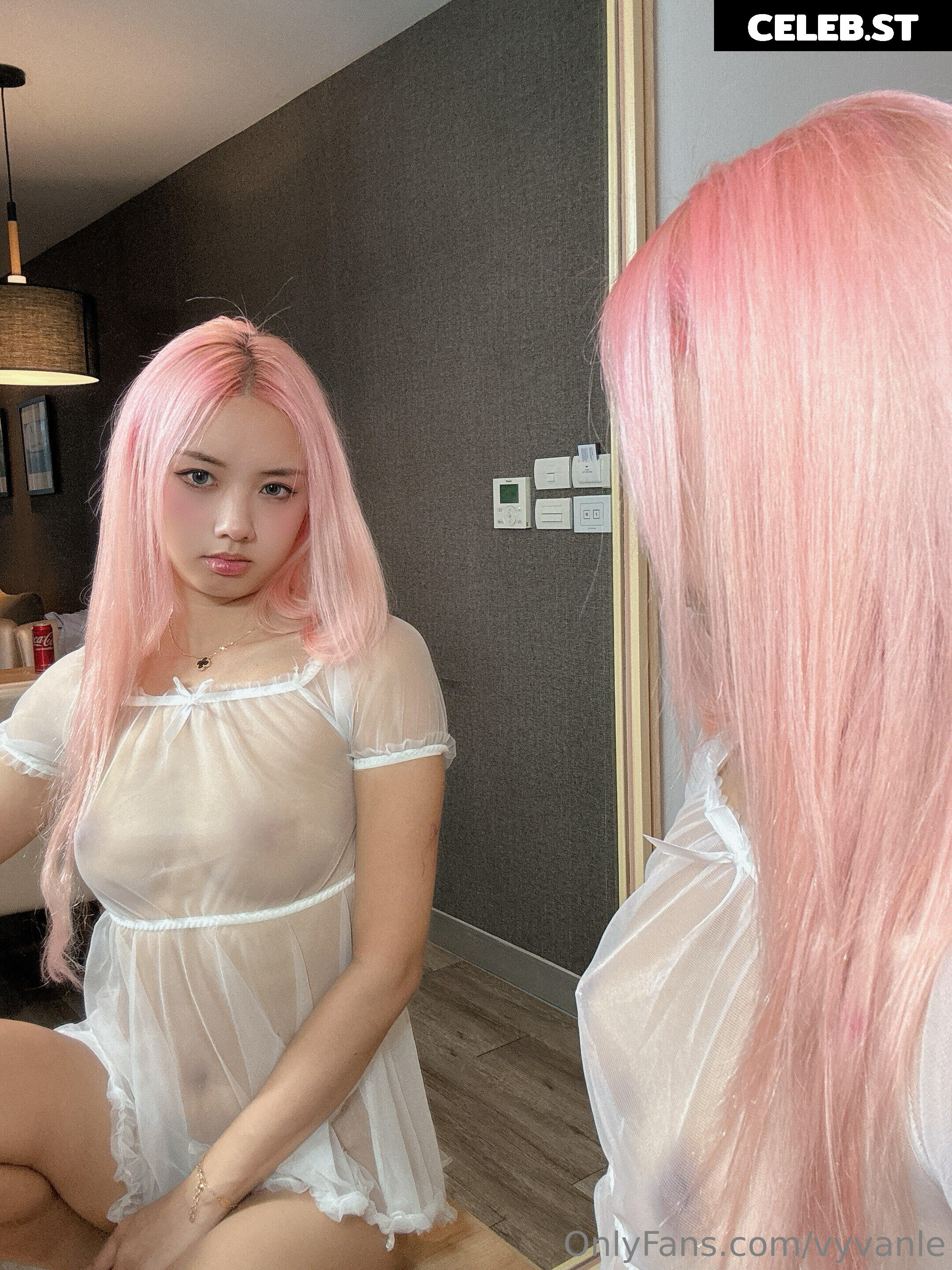 Vyvan Le Image 23874894