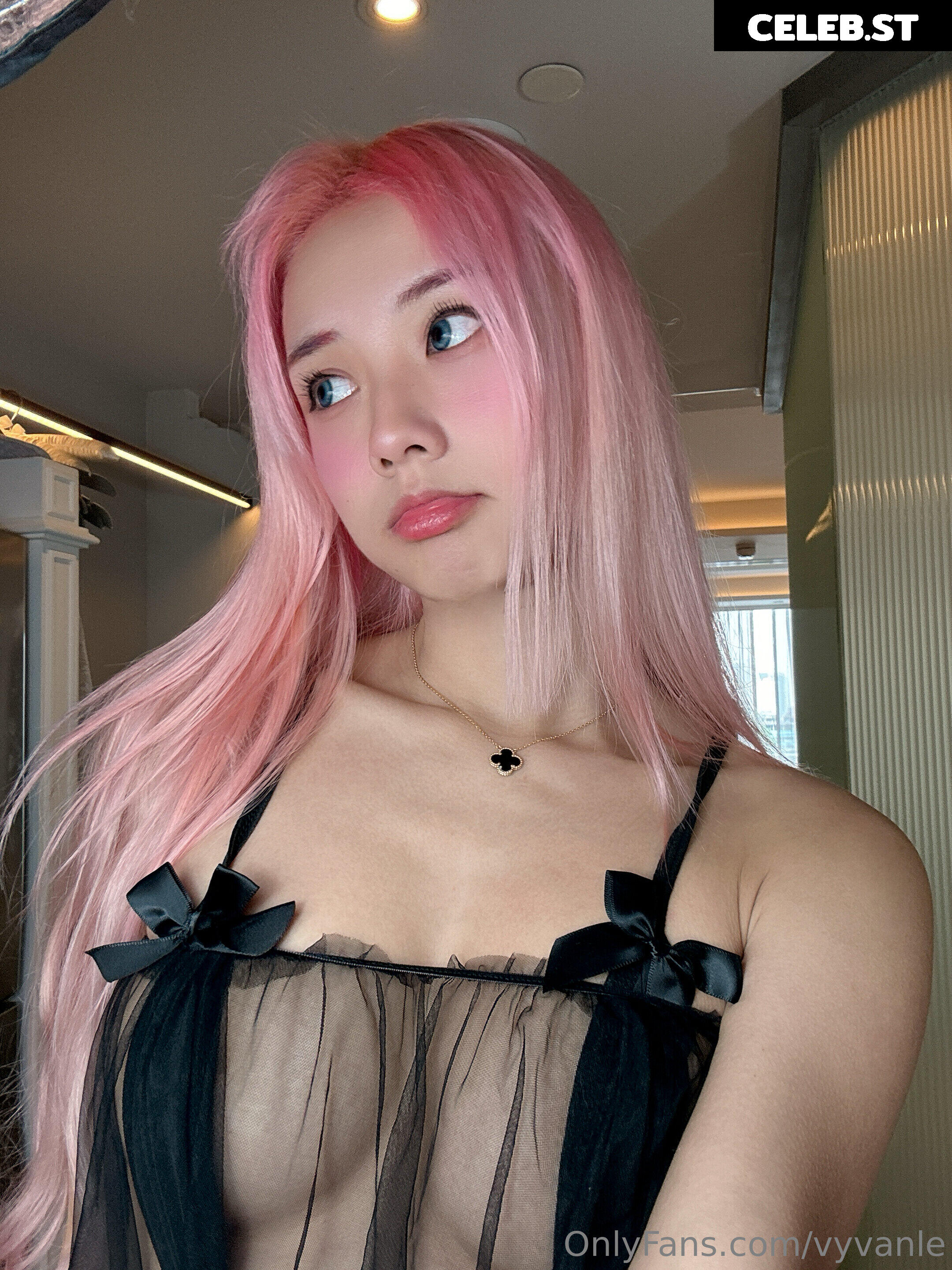 Vyvan Le Image 23874850