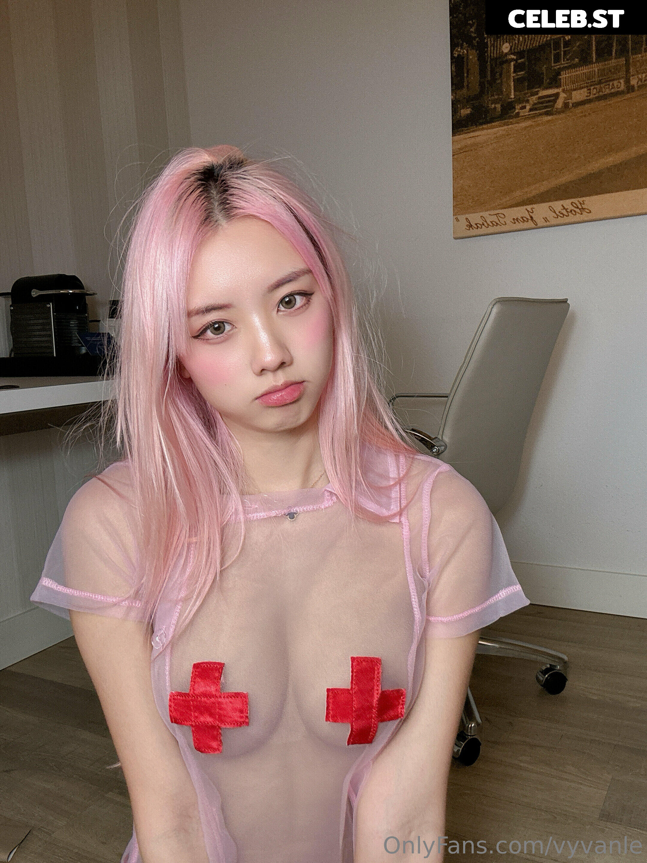 Vyvan Le Image 23874520