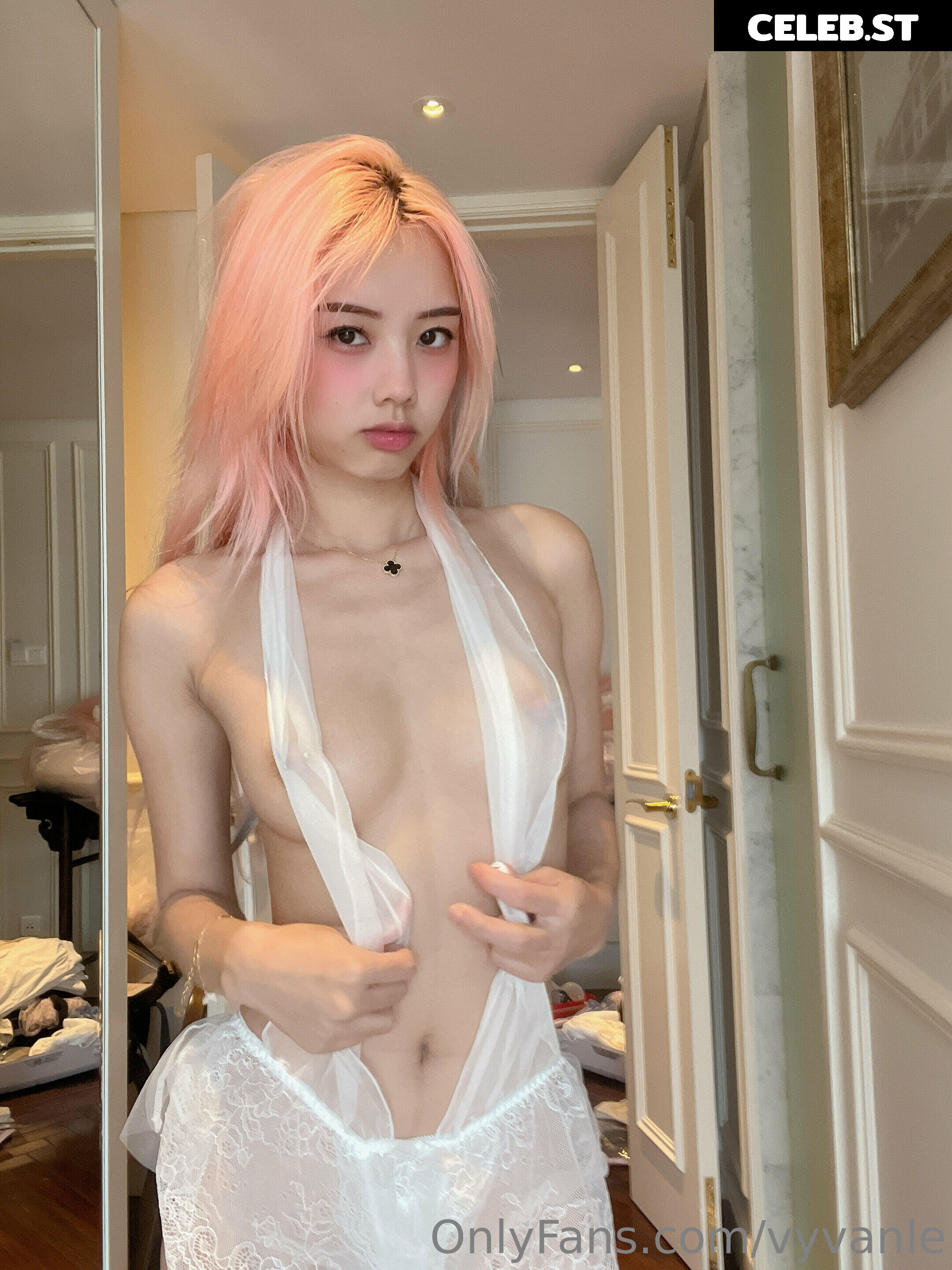 Vyvan Le Image 23874449