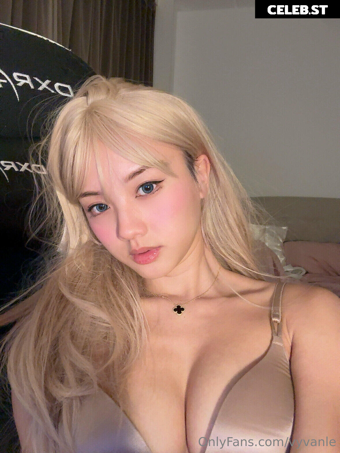 Vyvan Le Image 23874627