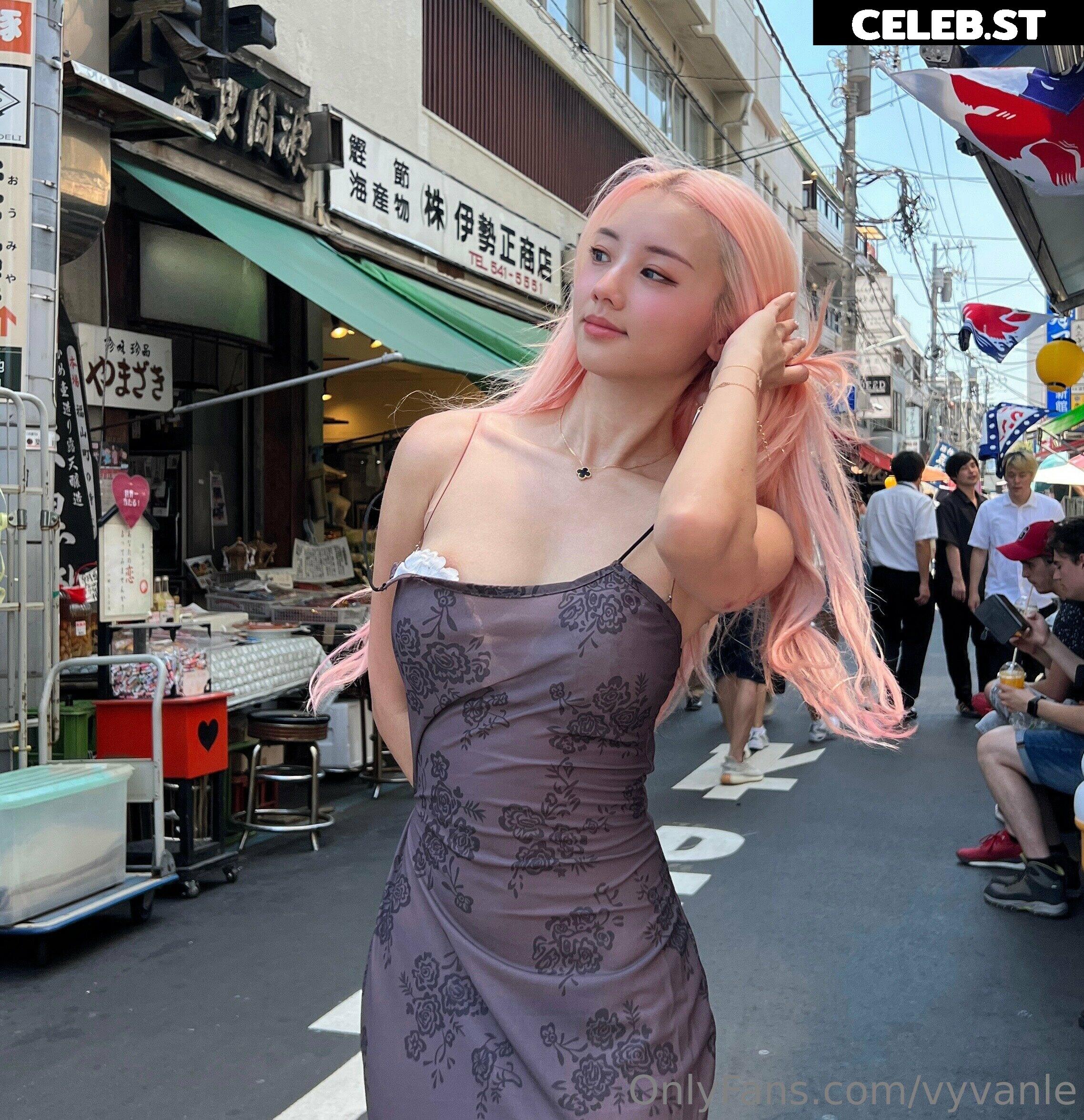 Vyvan Le Image 23874159