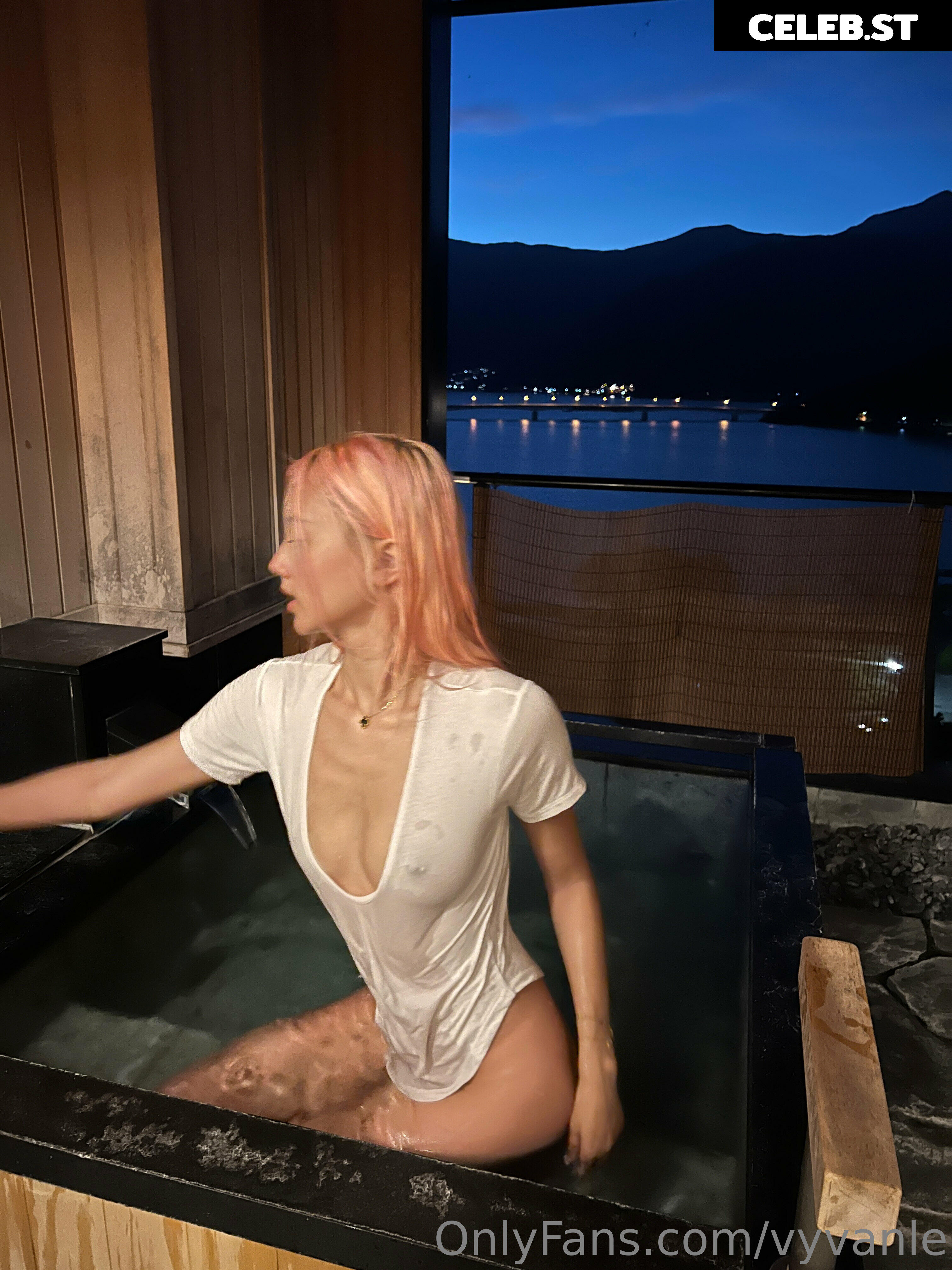 Vyvan Le Image 23874140