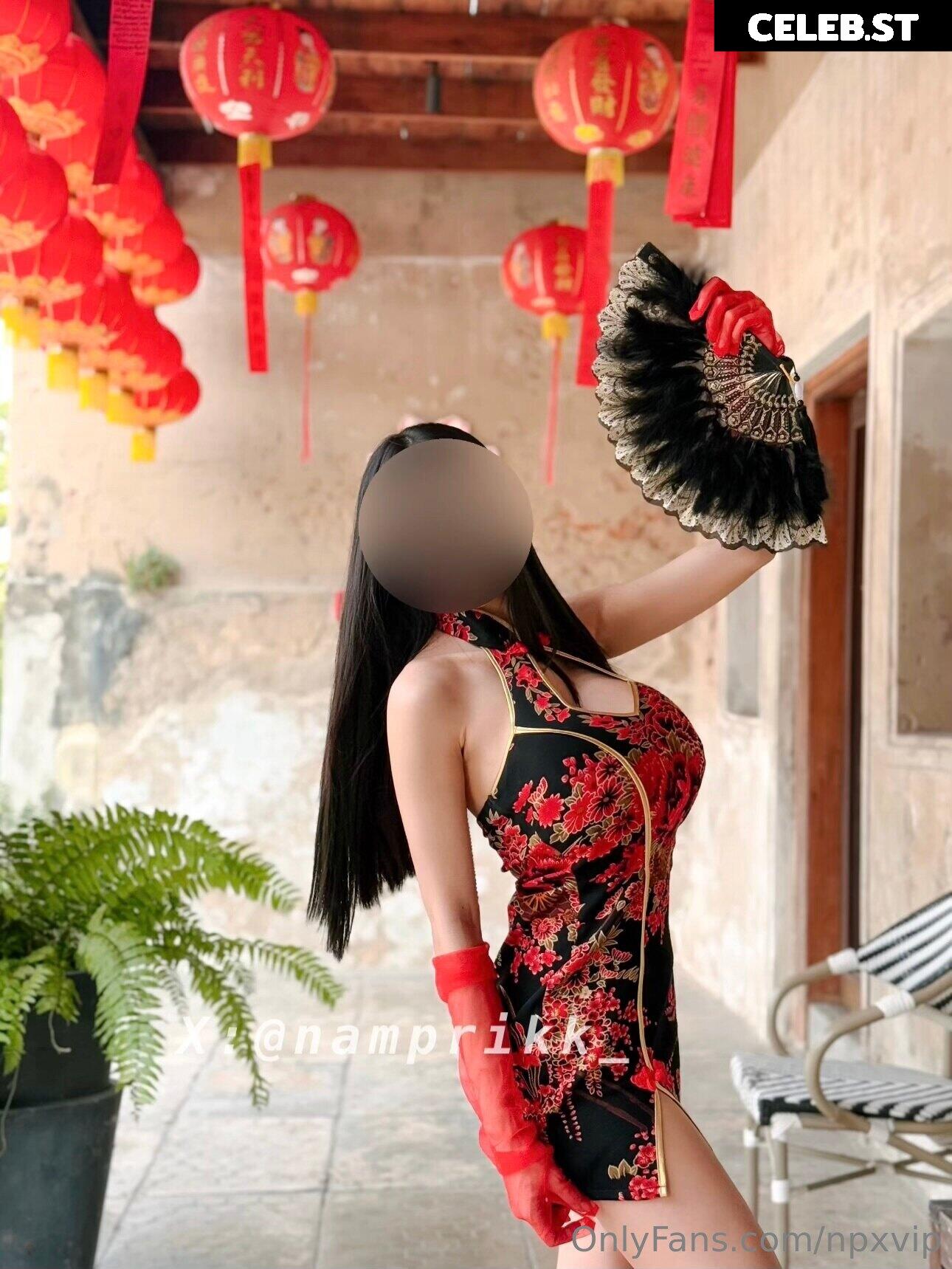 Npxvip Namprikk Image 23877038