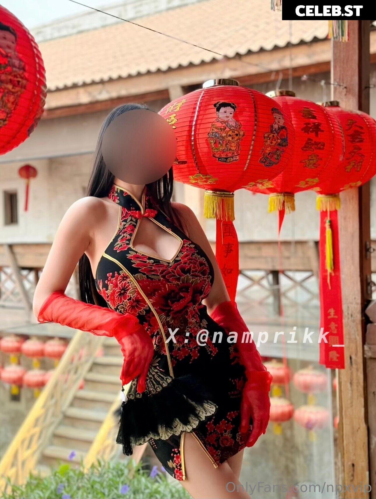 Npxvip Namprikk Image 23877043