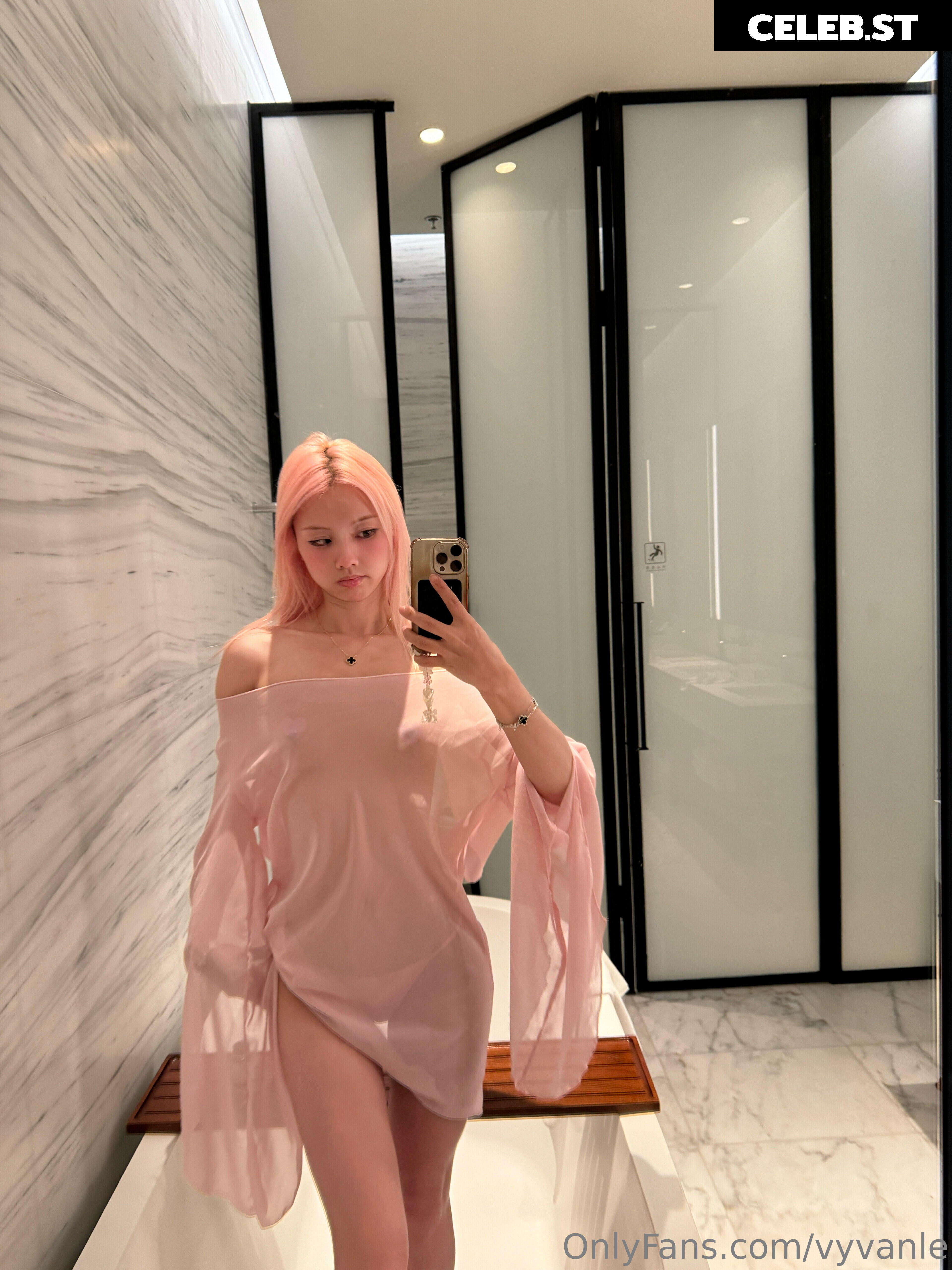 Vyvan Le Image 23876922