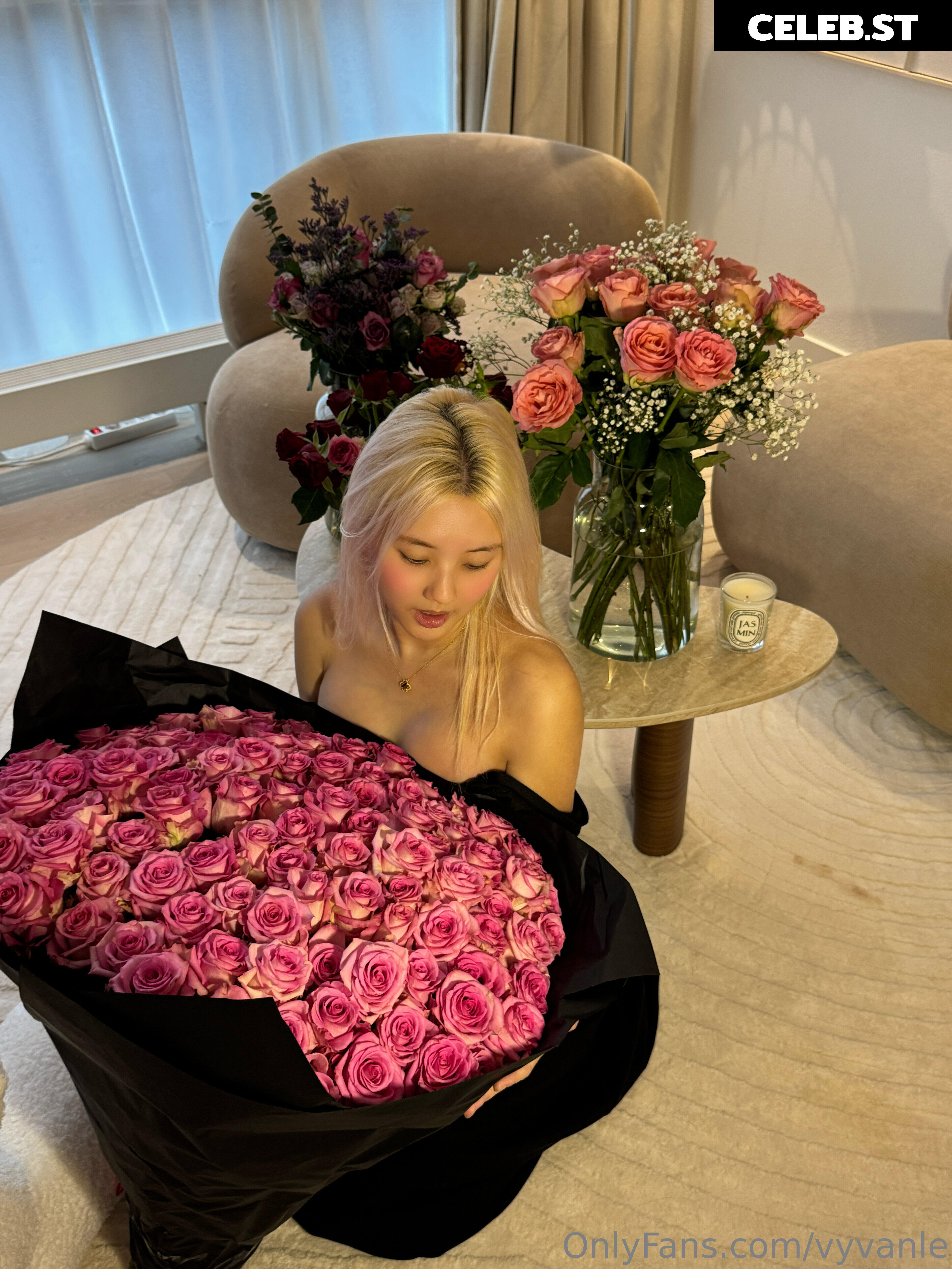 Vyvan Le Image 23876921