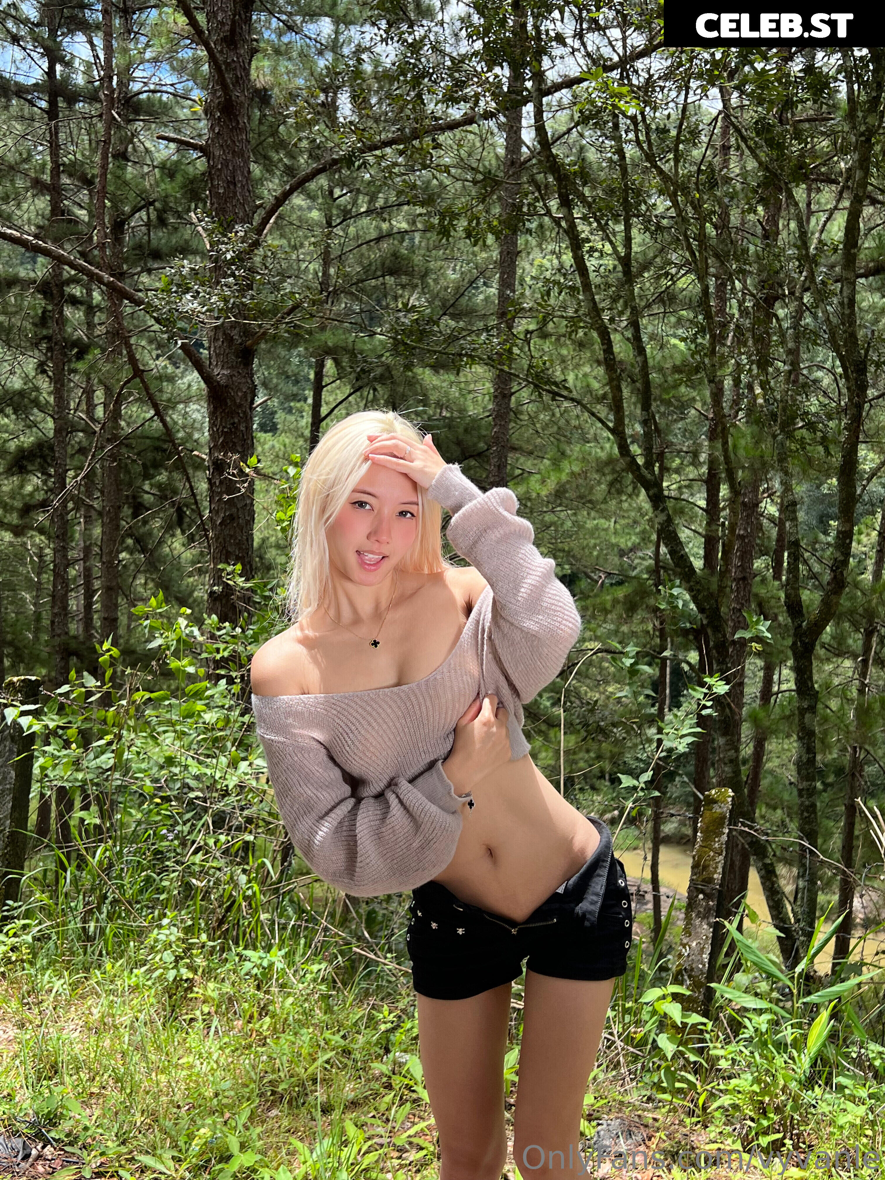 Vyvan Le Image 23876926