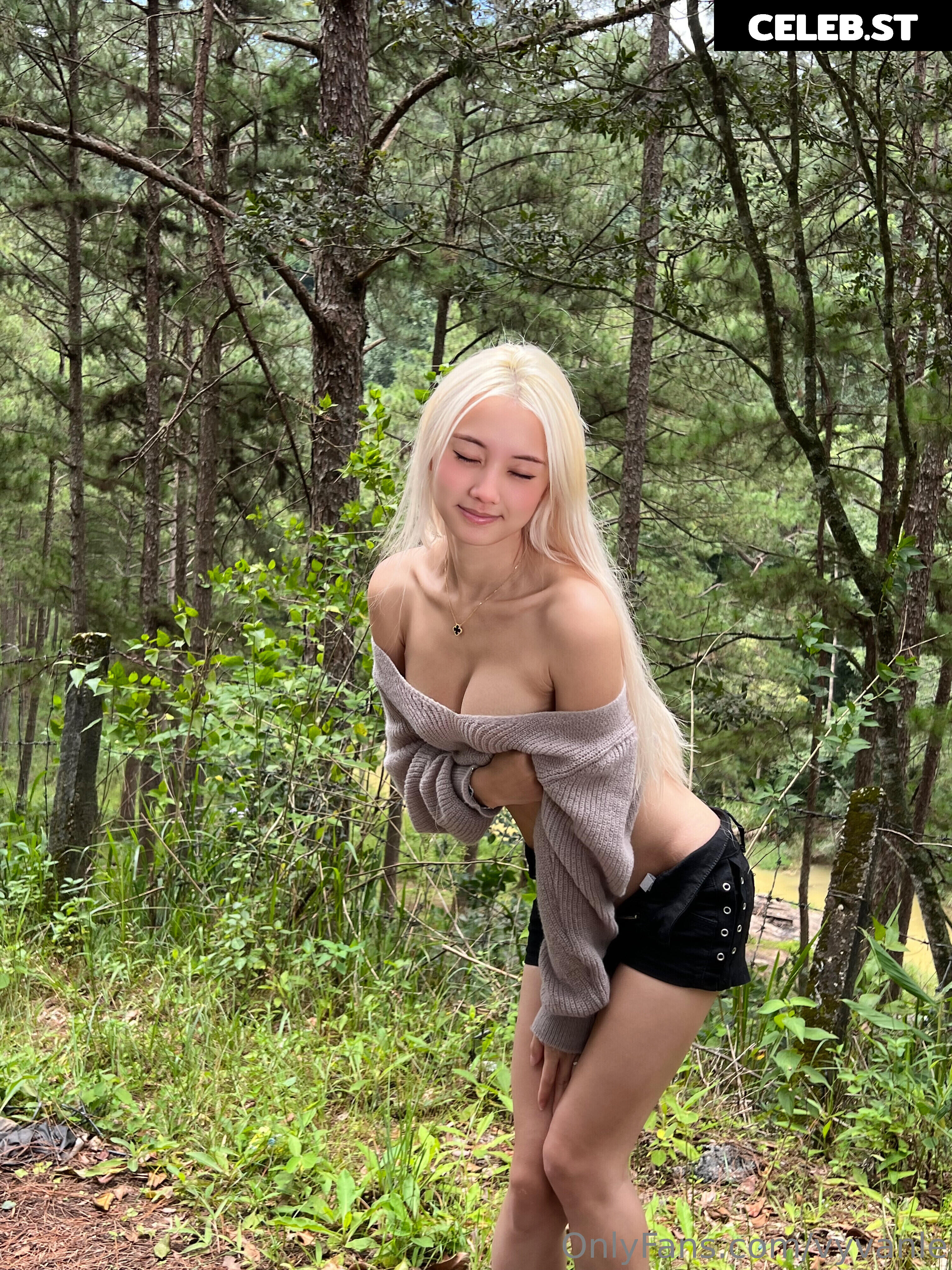 Vyvan Le Image 23876924