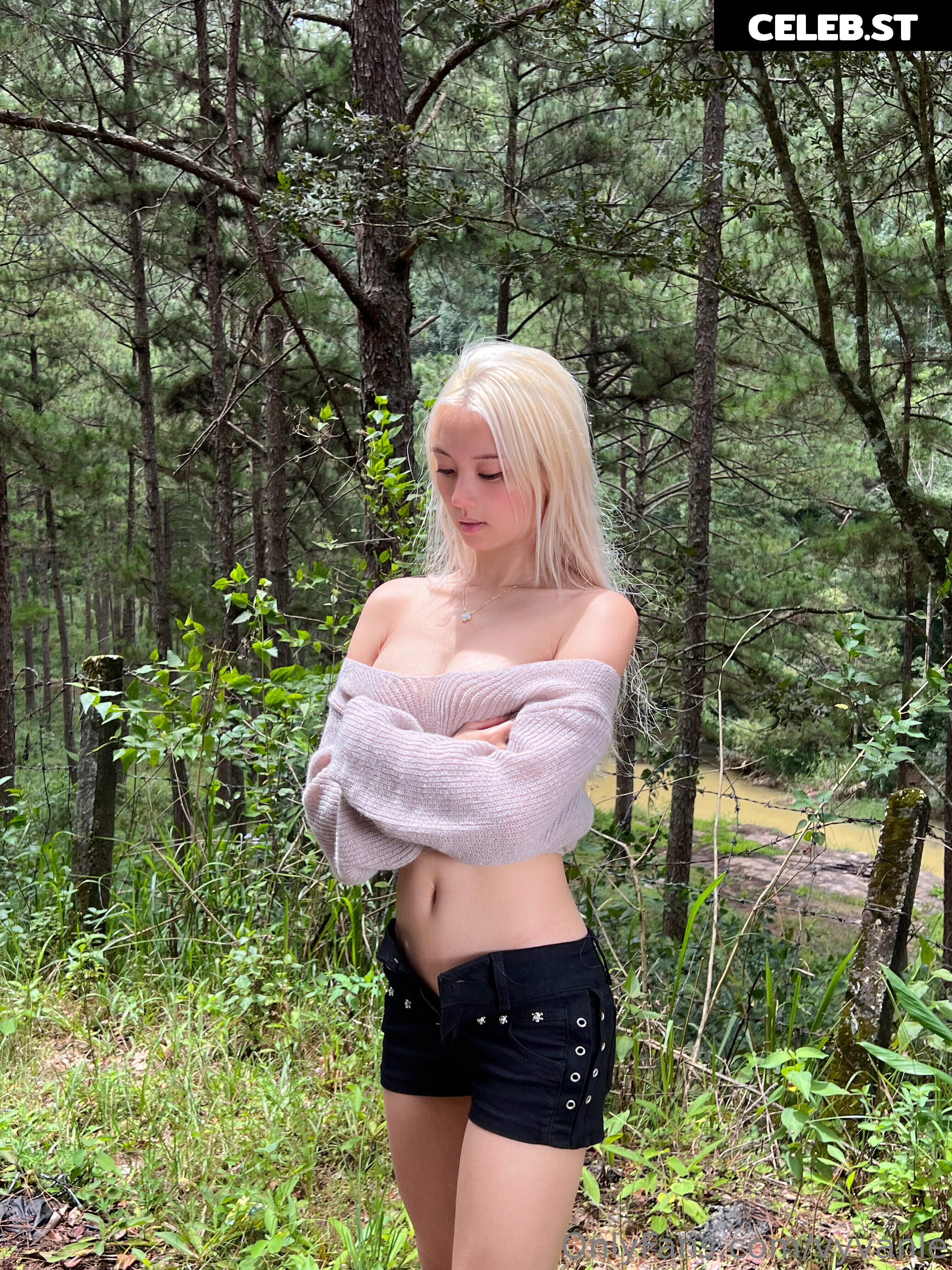 Vyvan Le Image 23876928