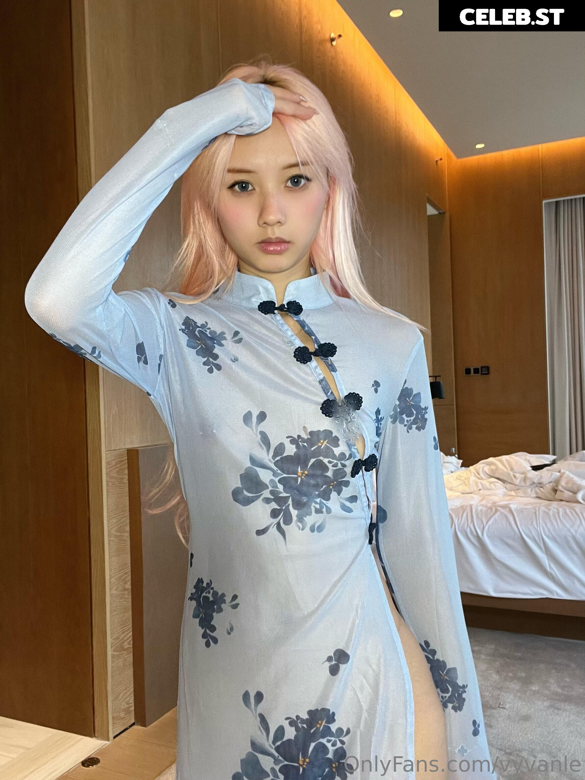 Vyvan Le Image 23876529