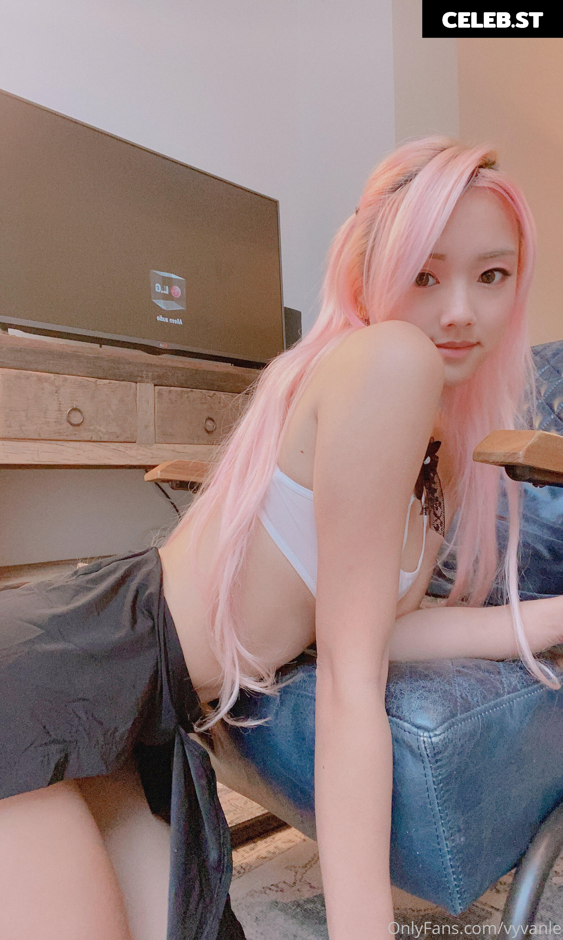 Vyvan Le Image 23876486