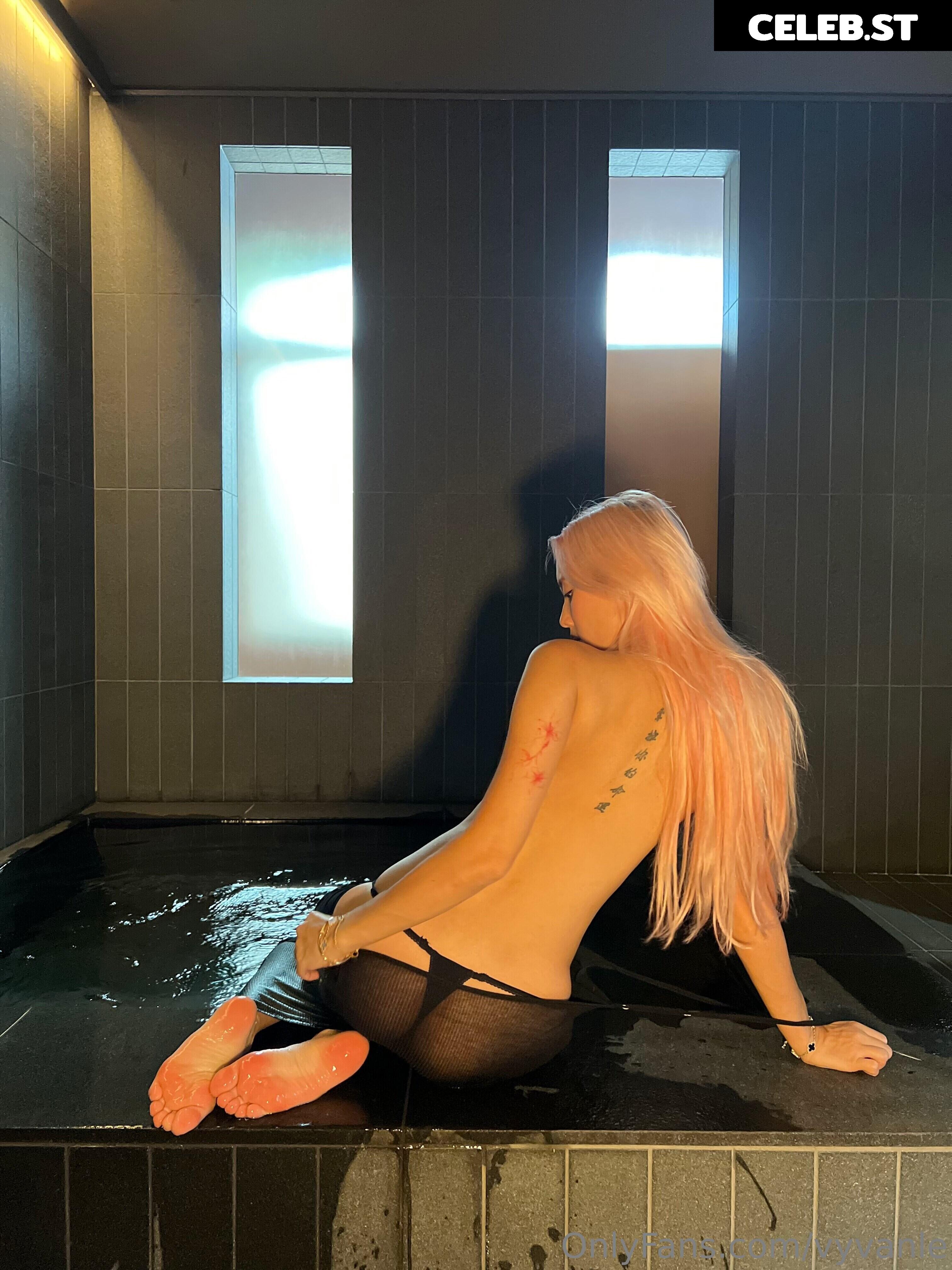 Vyvan Le Image 23876706