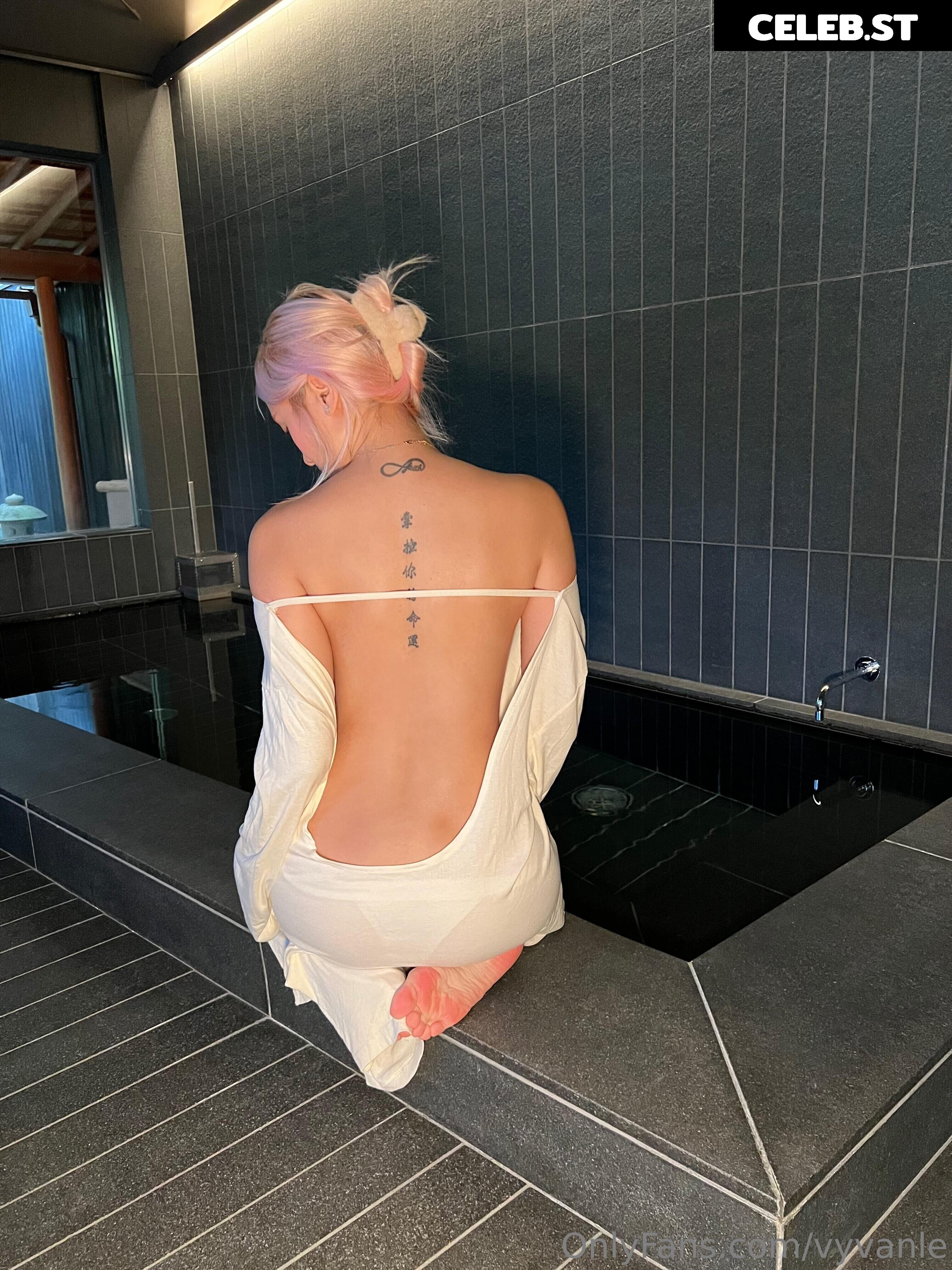 Vyvan Le Image 23876690