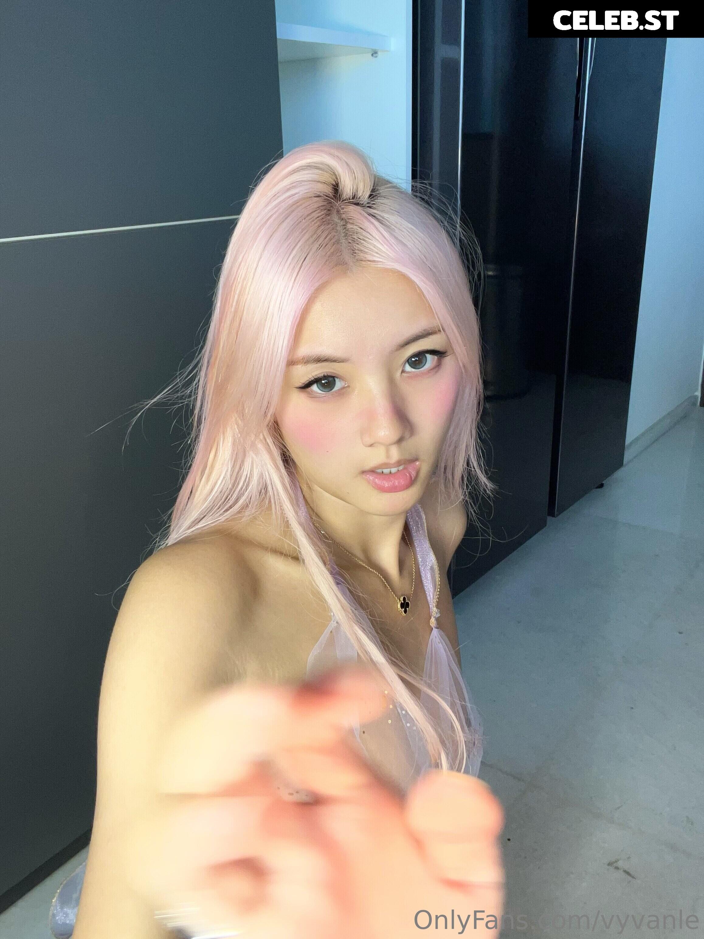 Vyvan Le Image 23876608