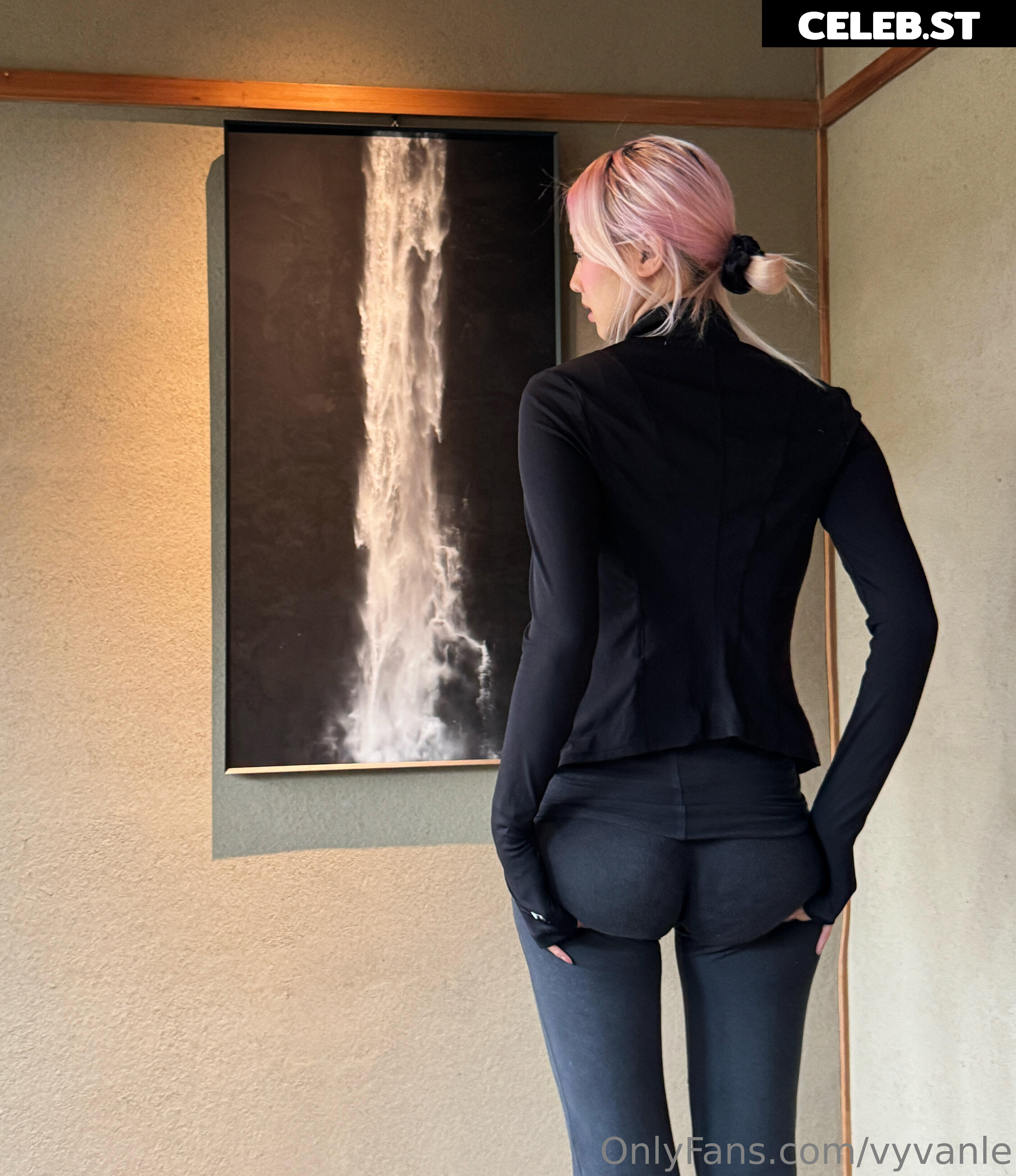 Vyvan Le Image 23876642