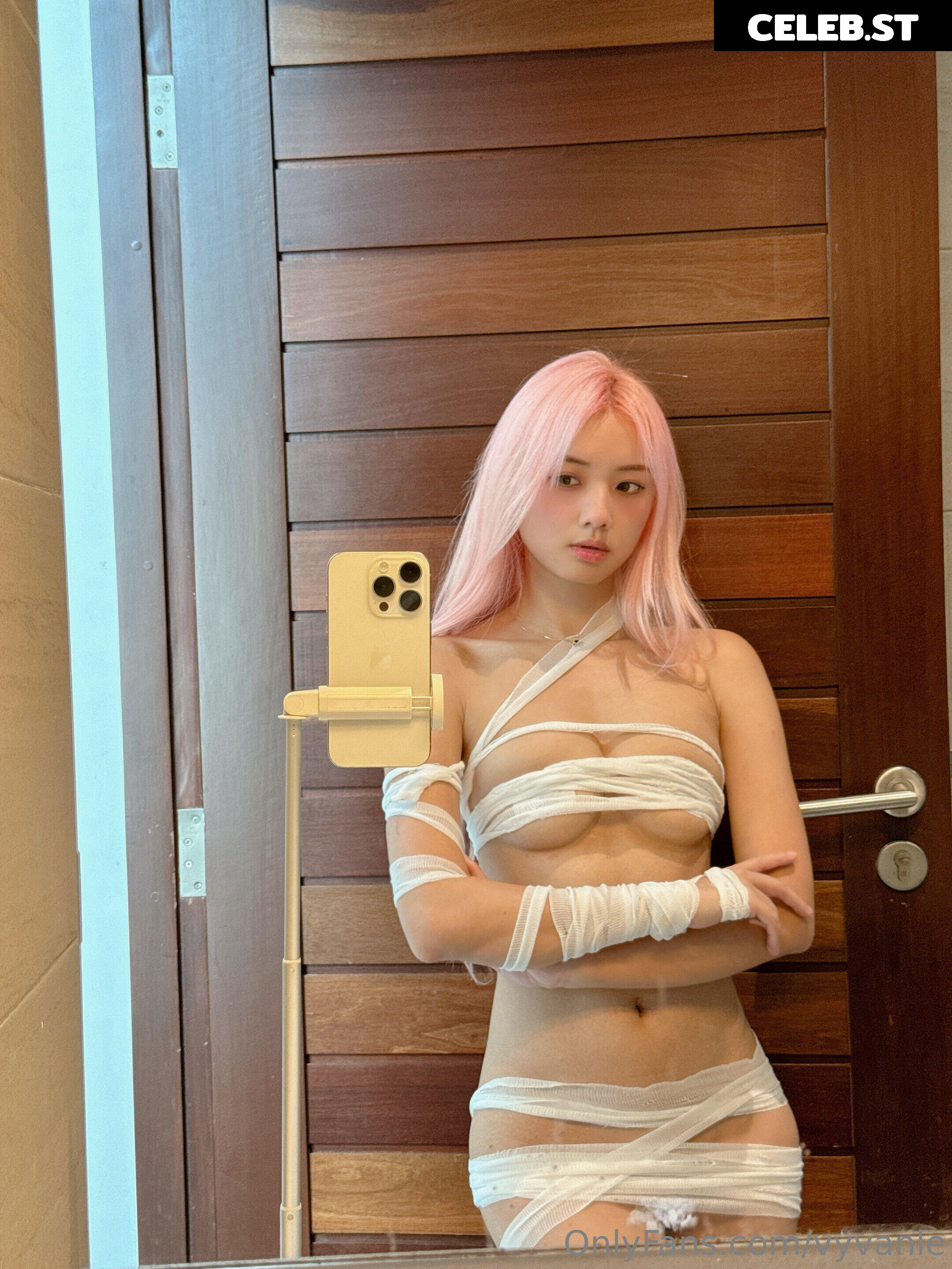 Vyvan Le Image 23876326