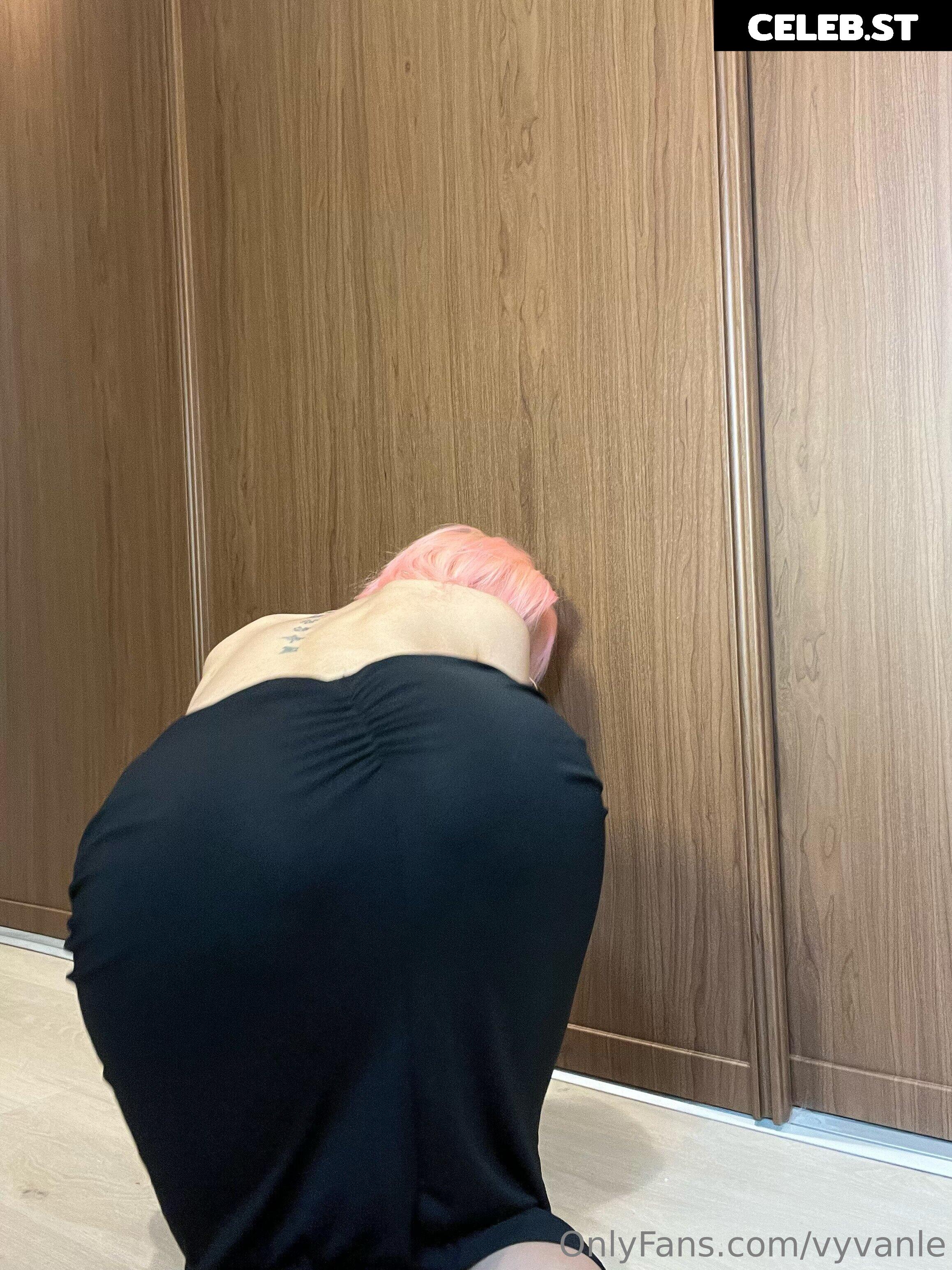 Vyvan Le Image 23876294