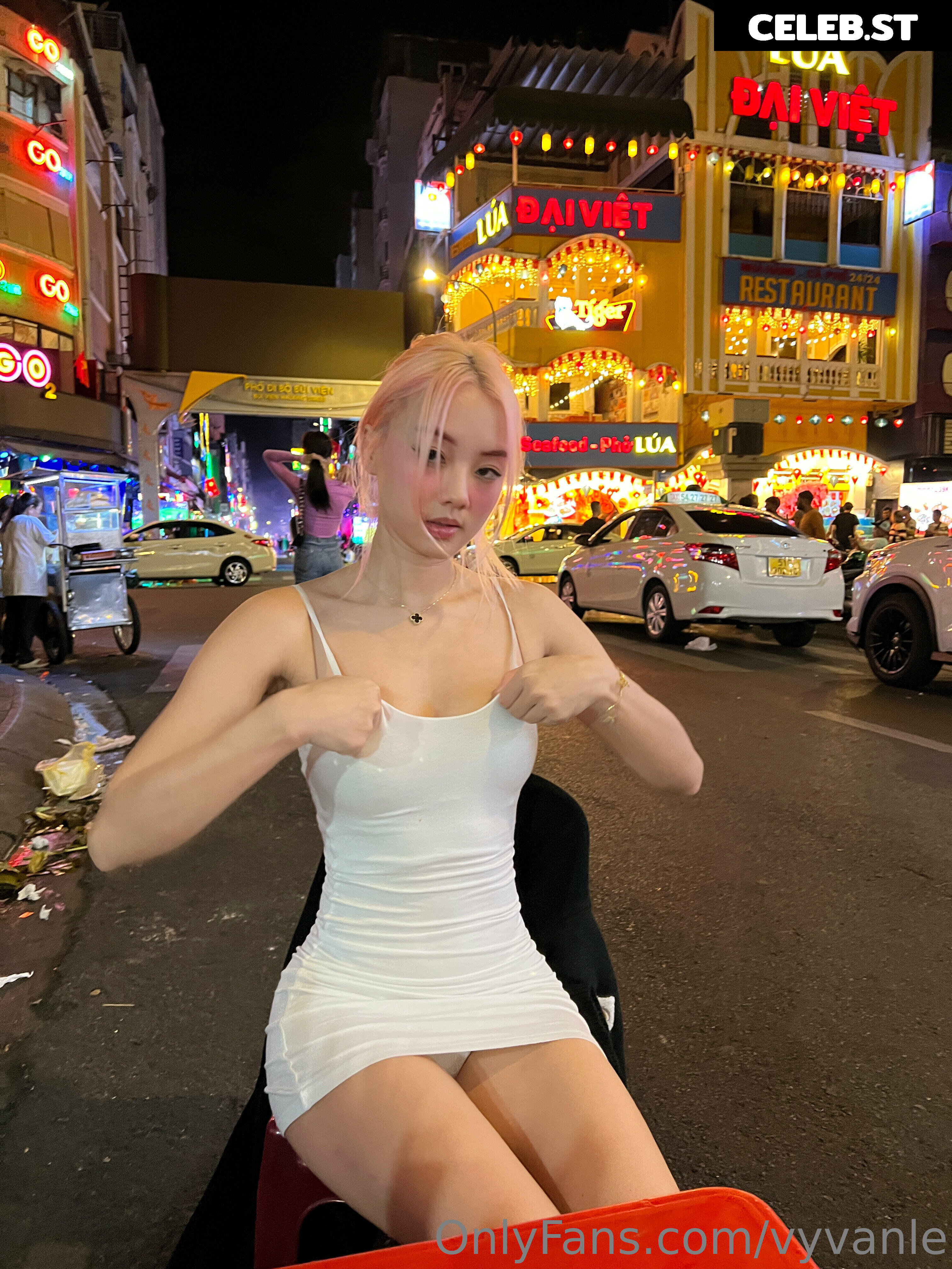 Vyvan Le Image 23873449