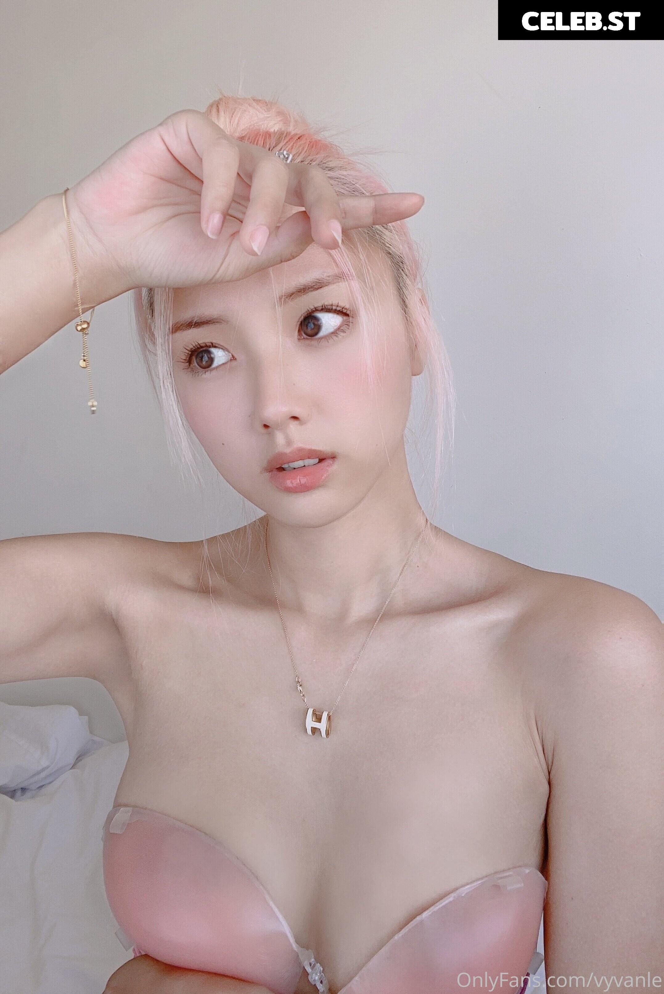 Vyvan Le Image 23873279