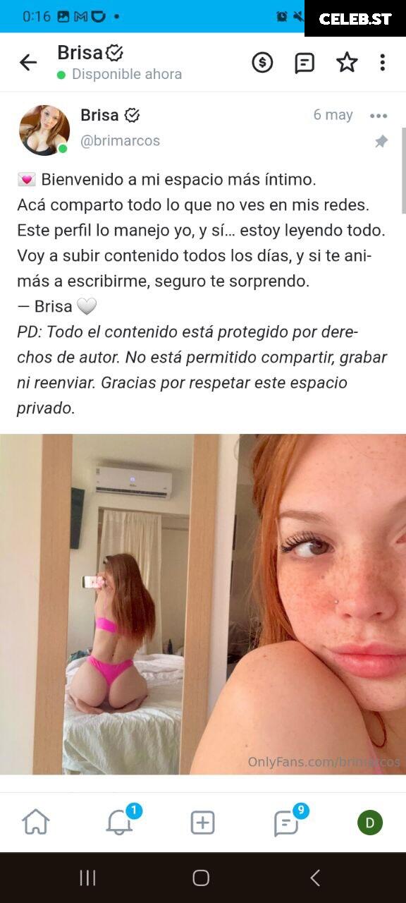 Brimarcos Image 23817693