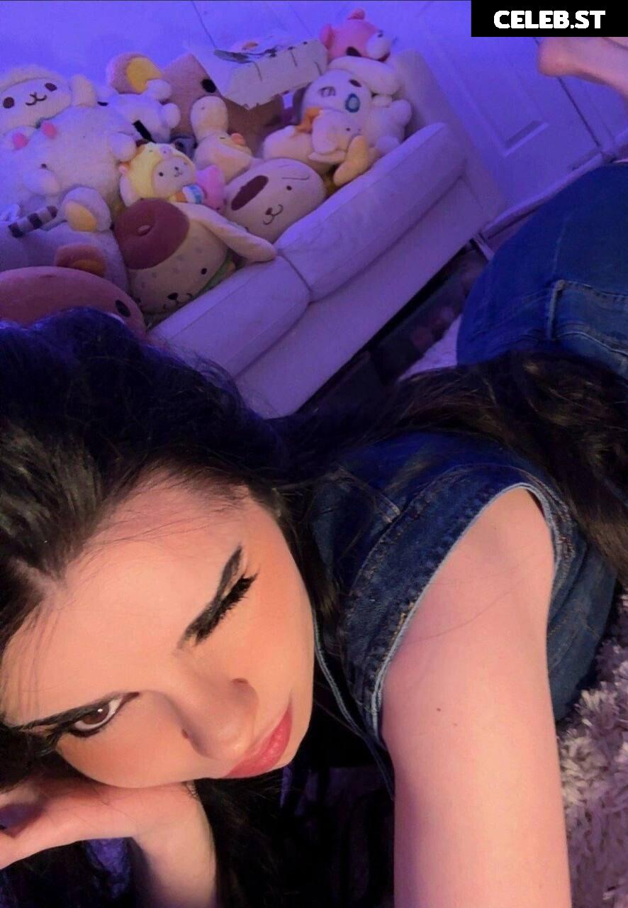 Avivasofia Oxythoughtin misopacketbae Image 23828822