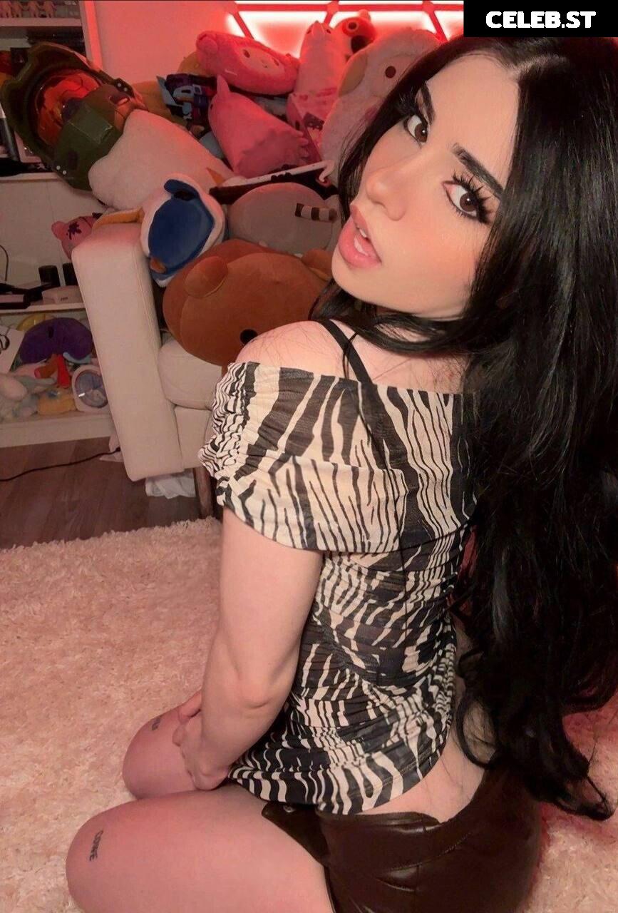 Avivasofia Oxythoughtin misopacketbae Image 23828820
