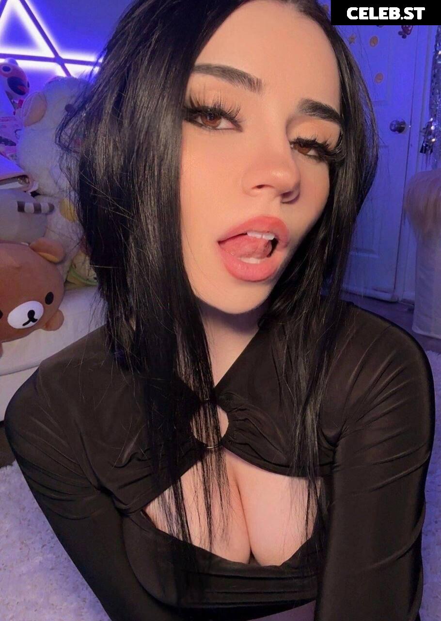 Avivasofia Oxythoughtin misopacketbae Image 23828836