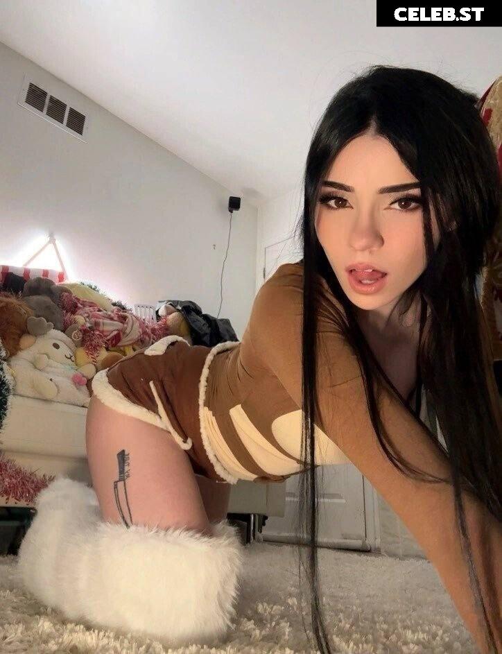 Avivasofia Oxythoughtin misopacketbae Image 23828513