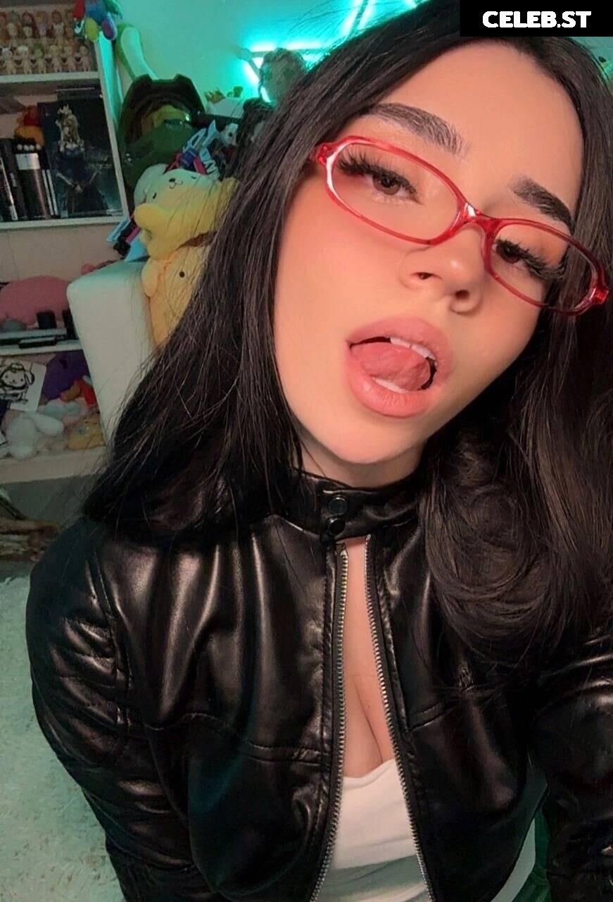 Avivasofia Oxythoughtin misopacketbae Image 23828425