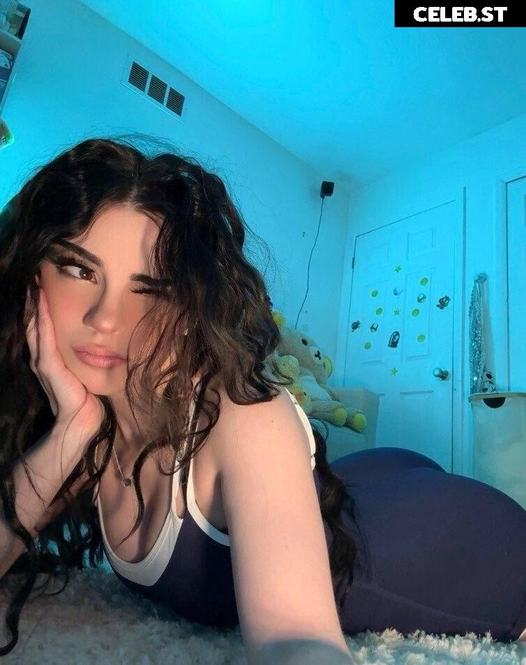 Avivasofia Oxythoughtin misopacketbae Image 23828781