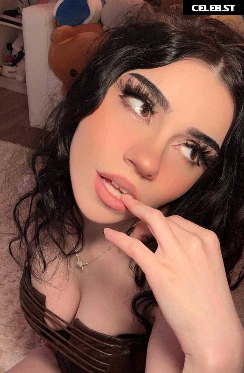 Avivasofia Oxythoughtin misopacketbae Image 23828785