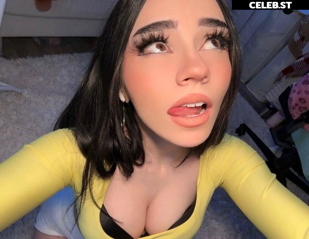 Avivasofia Oxythoughtin misopacketbae Image 23828788