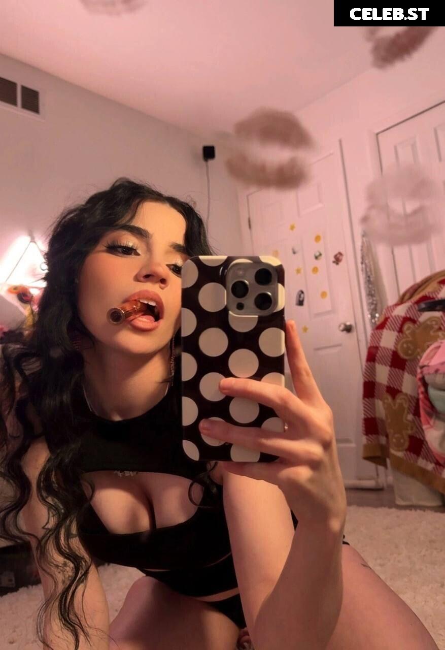 Avivasofia Oxythoughtin misopacketbae Image 23828719