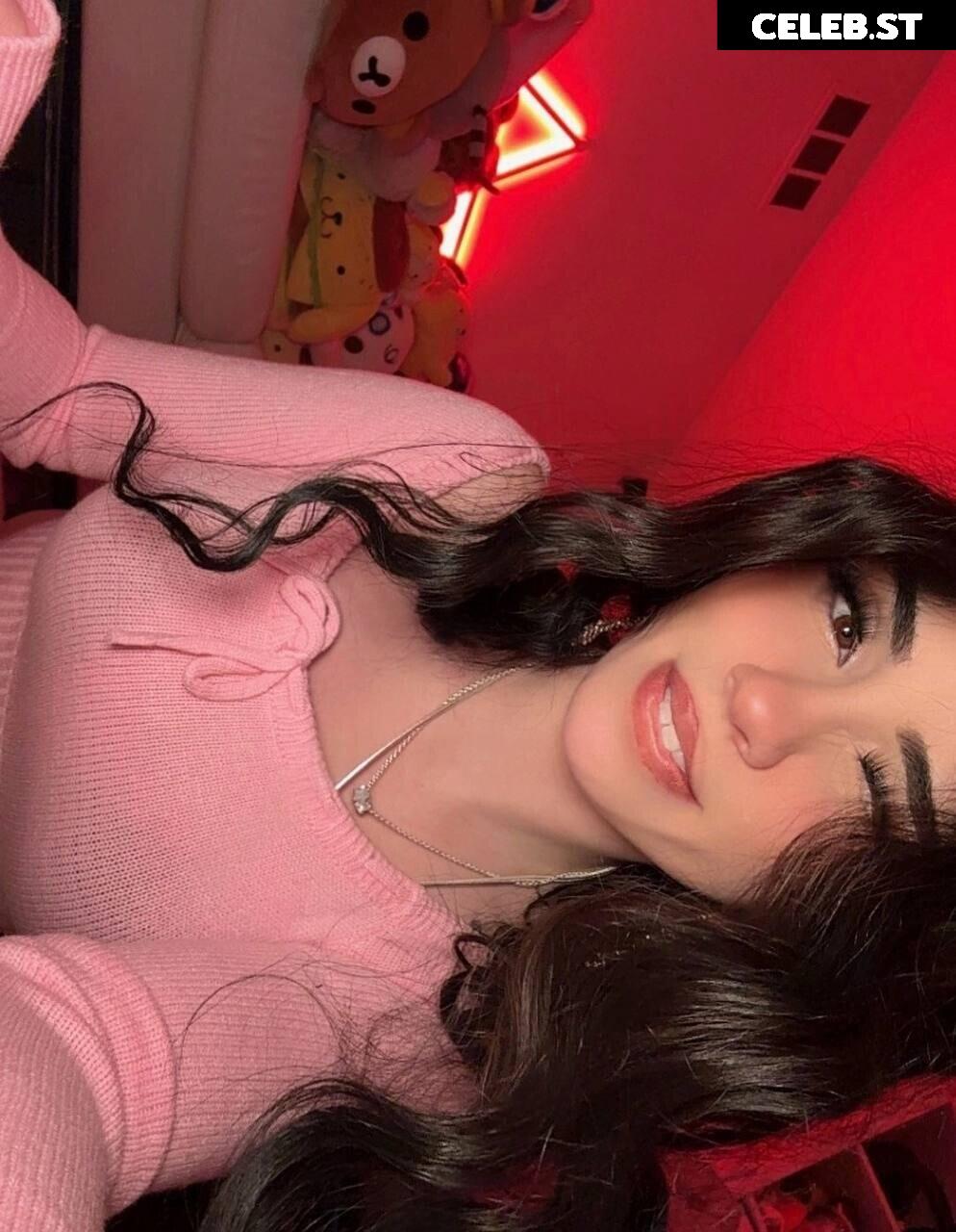 Avivasofia Oxythoughtin misopacketbae Image 23828707