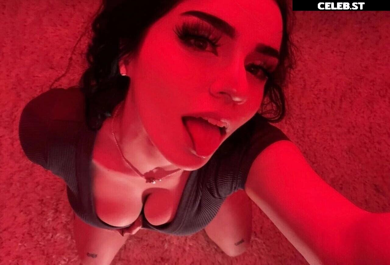 Avivasofia Oxythoughtin misopacketbae Image 23828762