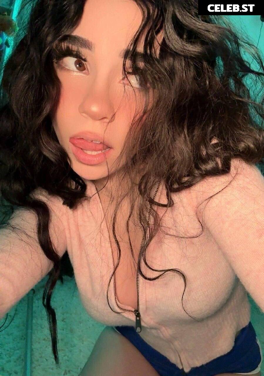Avivasofia Oxythoughtin misopacketbae Image 23828766