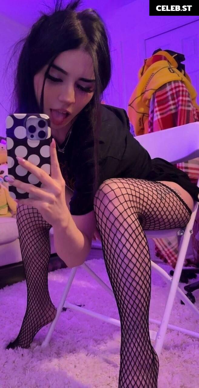 Avivasofia Oxythoughtin misopacketbae Image 23828758