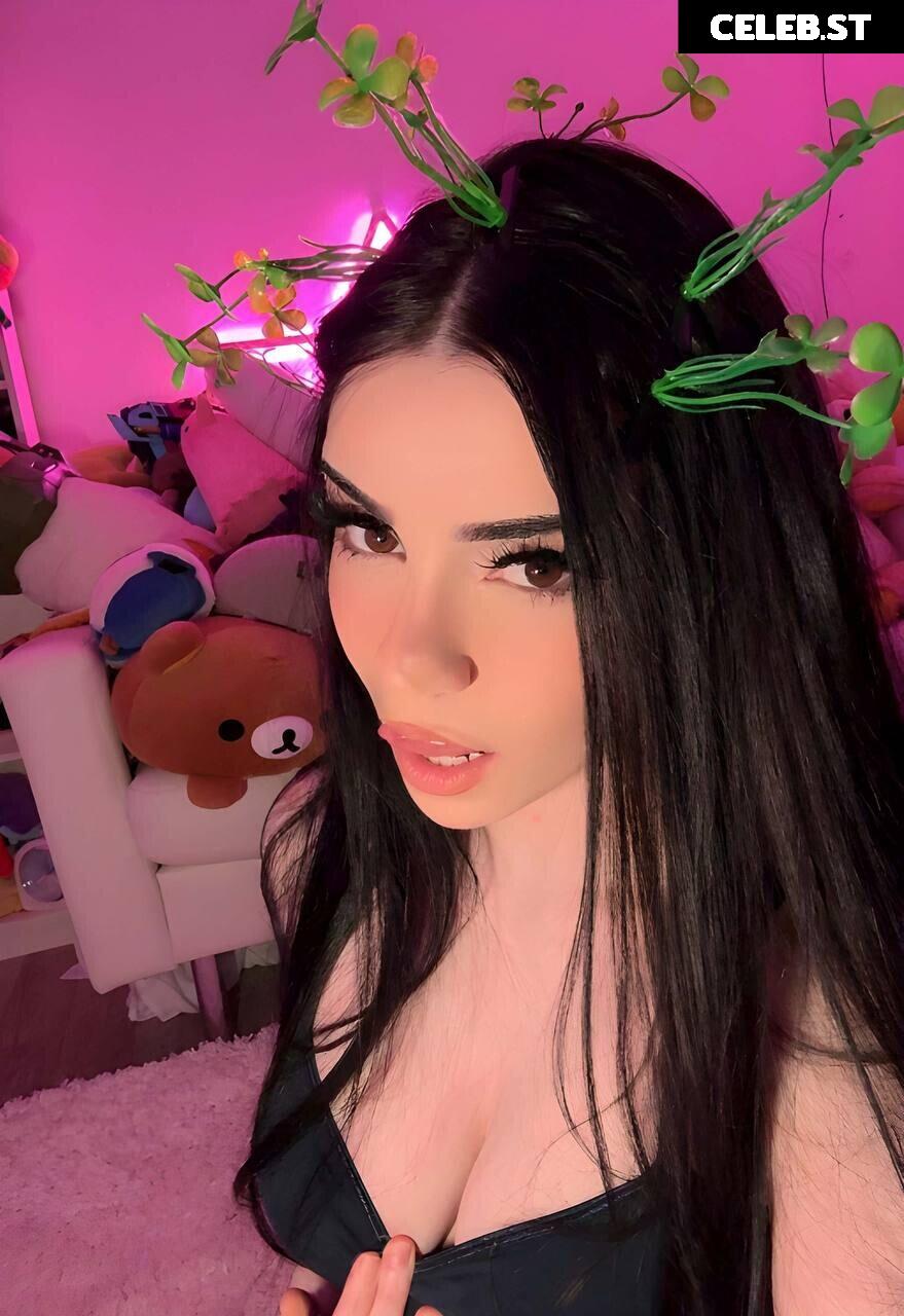 Avivasofia Oxythoughtin misopacketbae Image 23828686