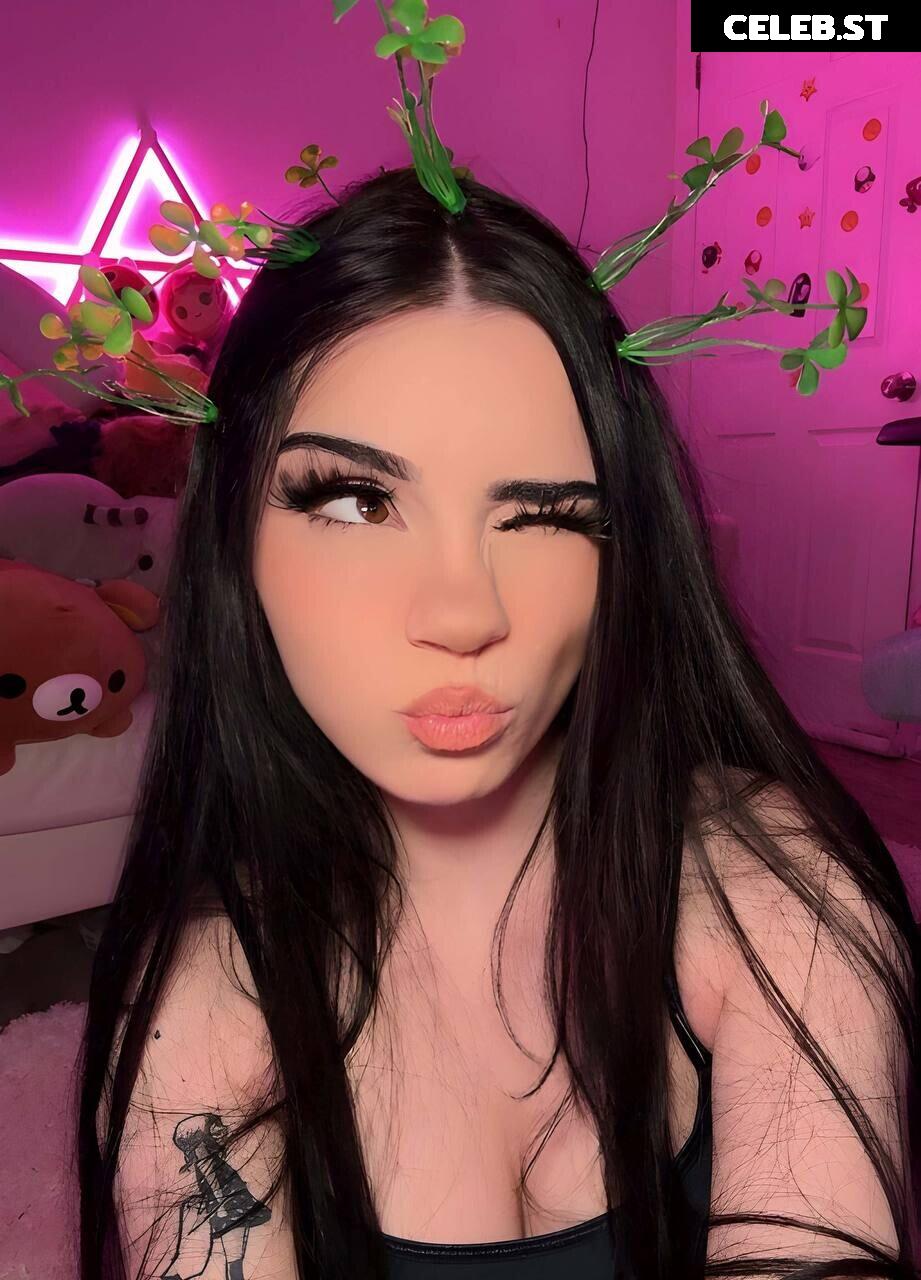 Avivasofia Oxythoughtin misopacketbae Image 23828685