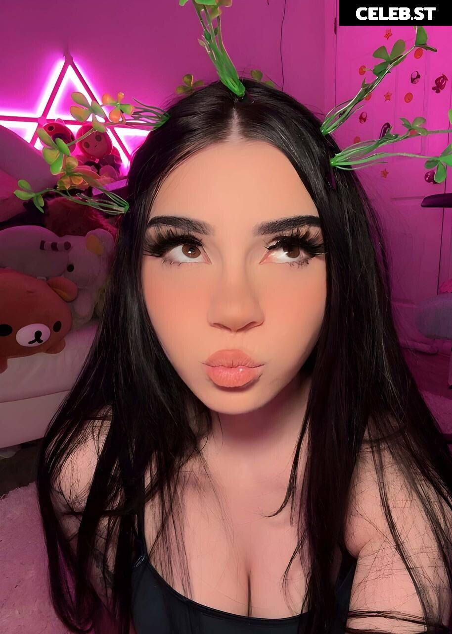 Avivasofia Oxythoughtin misopacketbae Image 23828689