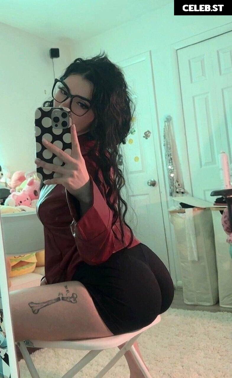 Avivasofia Oxythoughtin misopacketbae Image 23828623