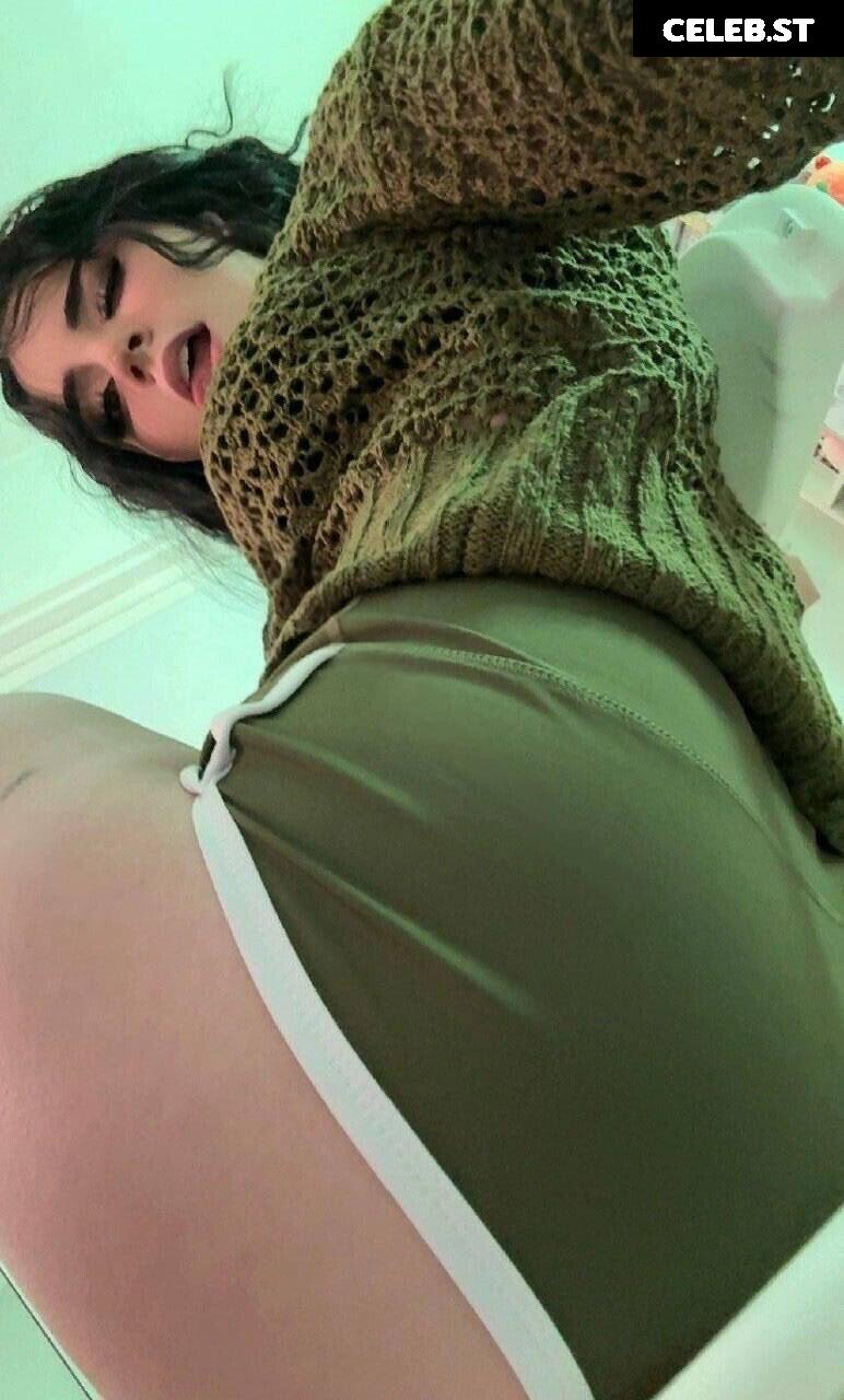 Avivasofia Oxythoughtin misopacketbae Image 23828632