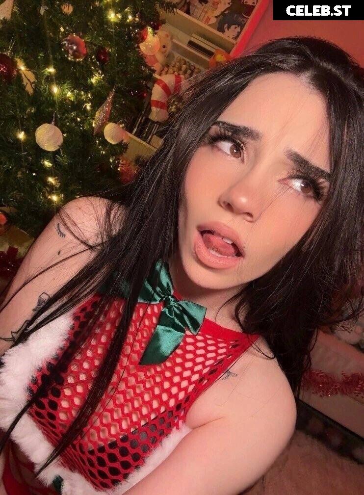 Avivasofia Oxythoughtin misopacketbae Image 23828661