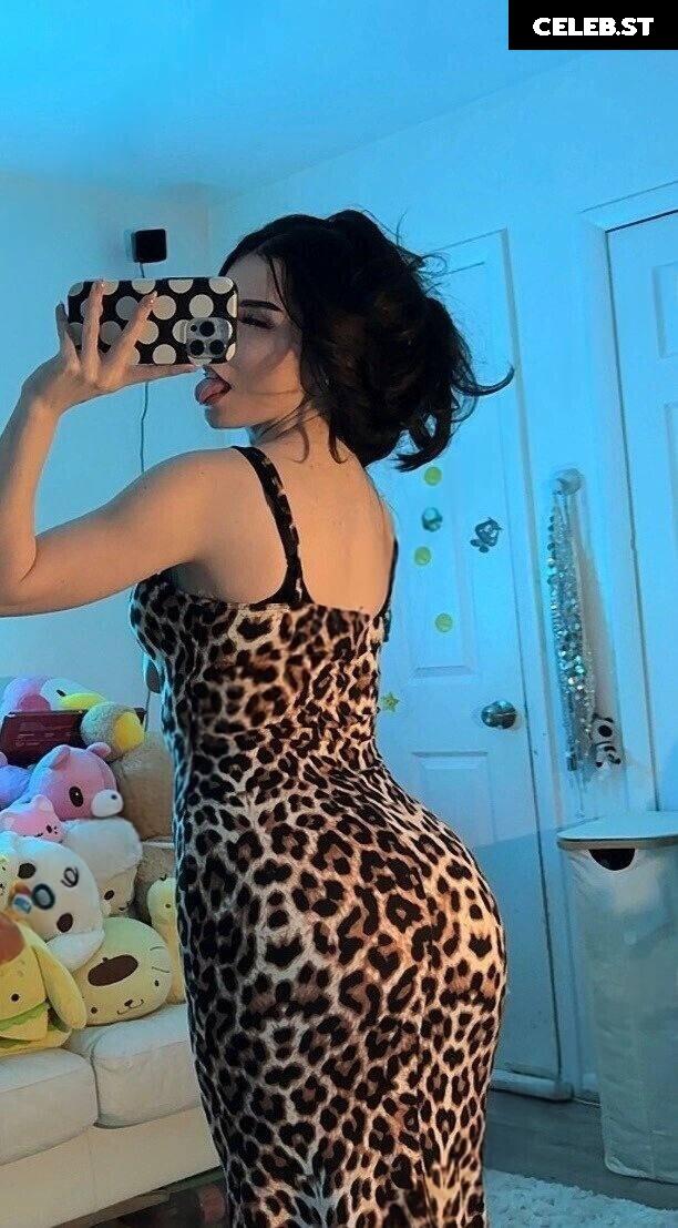 Avivasofia Oxythoughtin misopacketbae Image 23828656